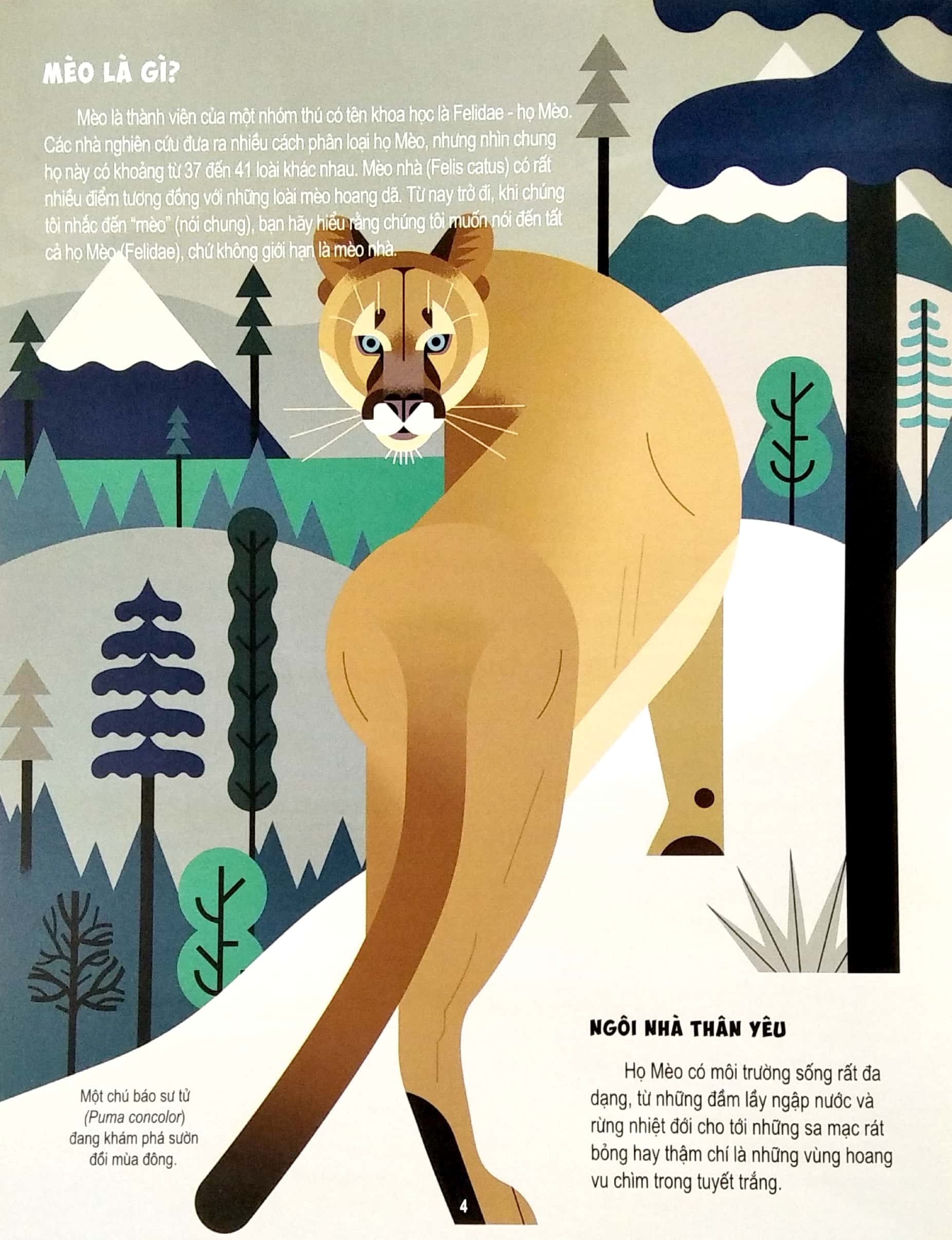 những điều chưa biết về… - mèo