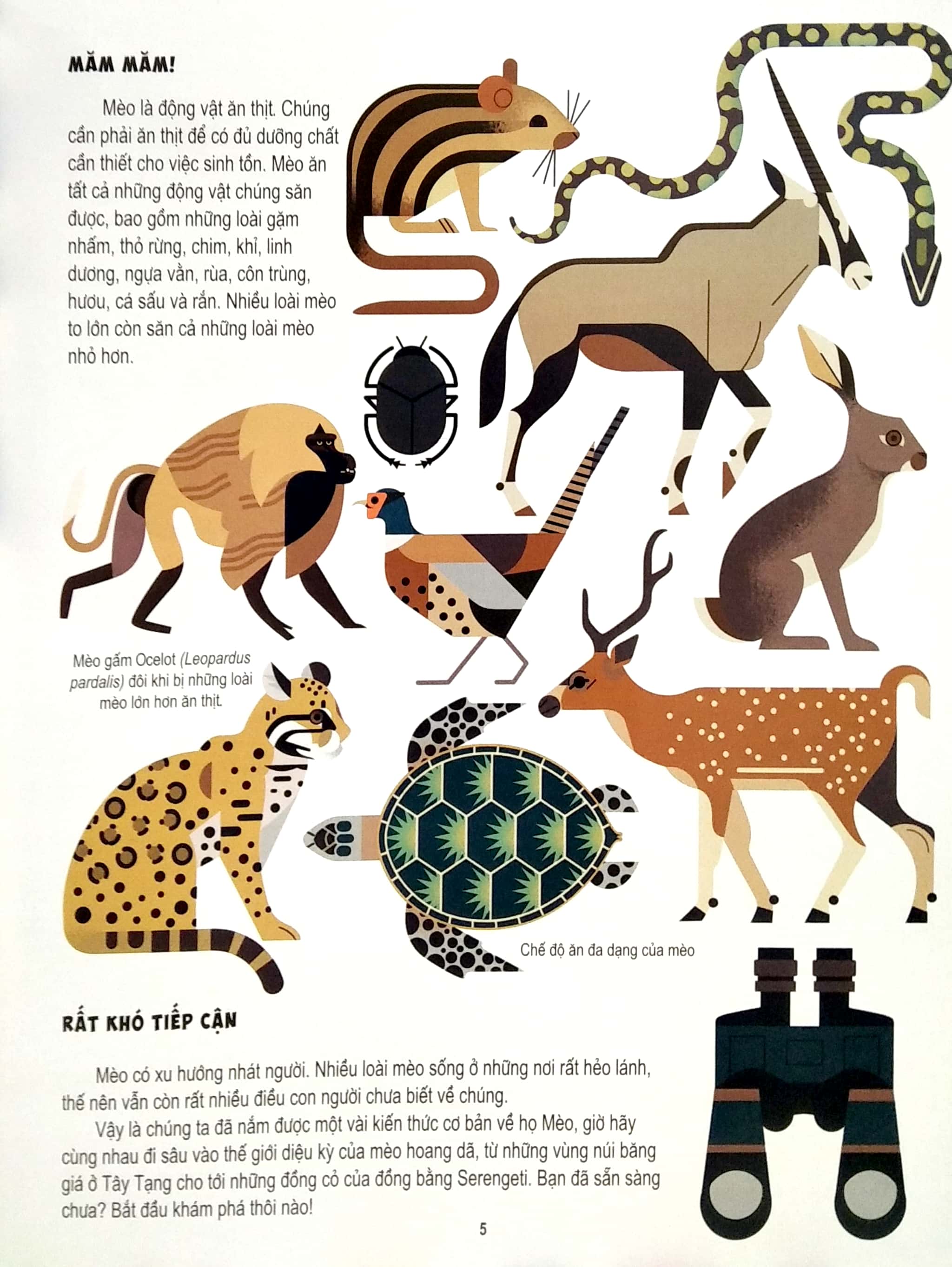 những điều chưa biết về… - mèo