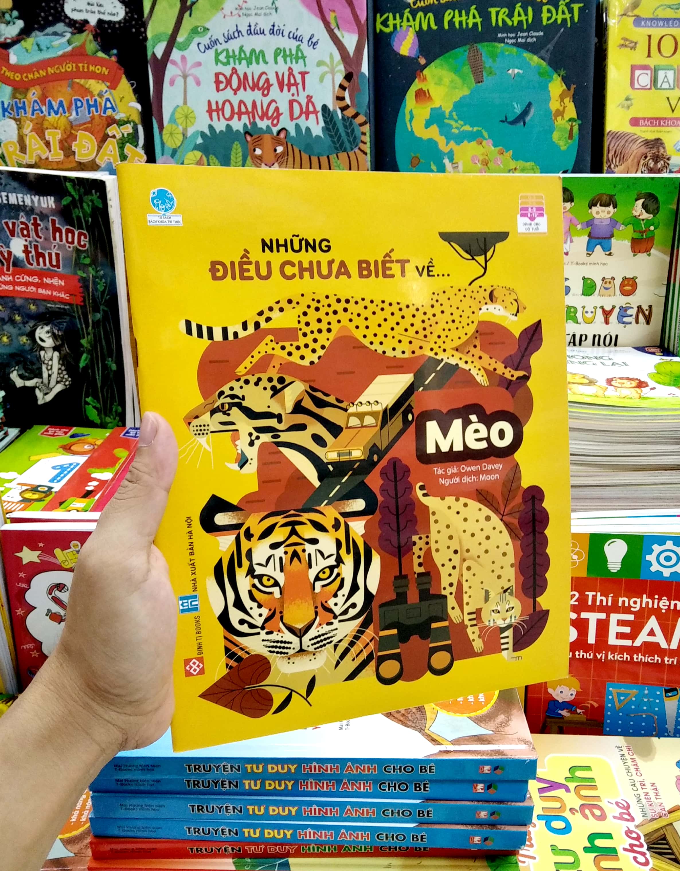 những điều chưa biết về… - mèo