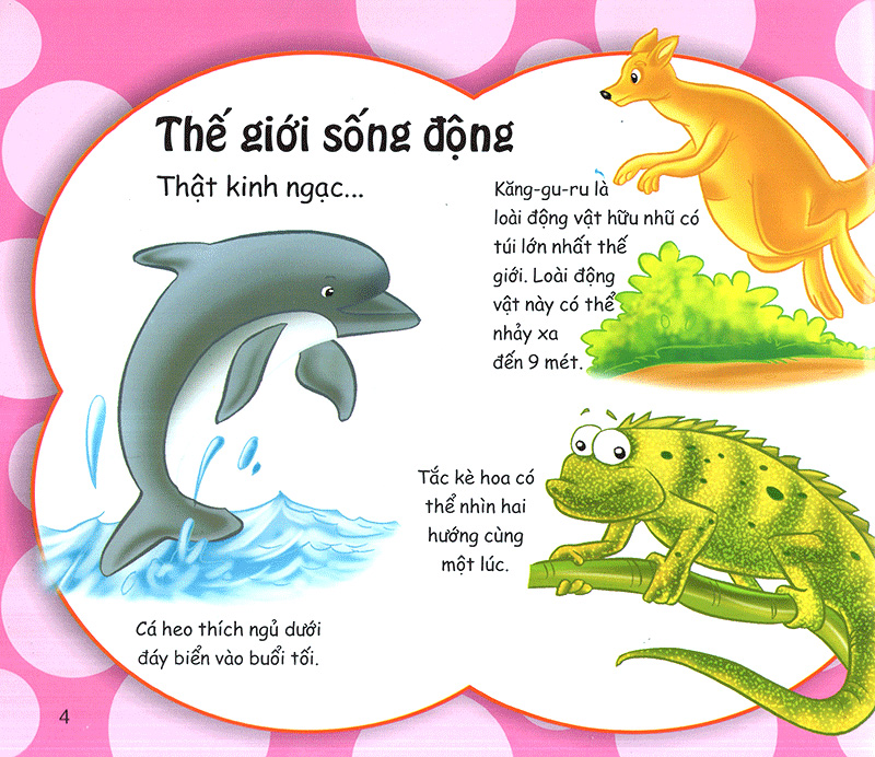 những điều kỳ thú - bạn sẽ kinh ngạc