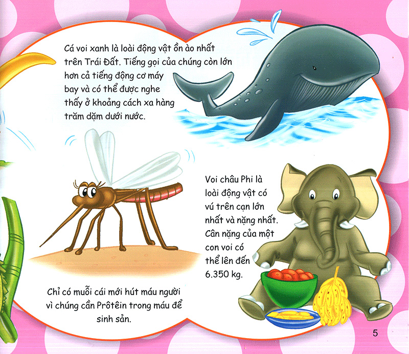 những điều kỳ thú - bạn sẽ kinh ngạc