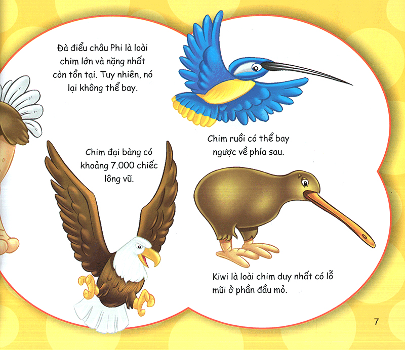 những điều kỳ thú - có thể bạn chưa biết