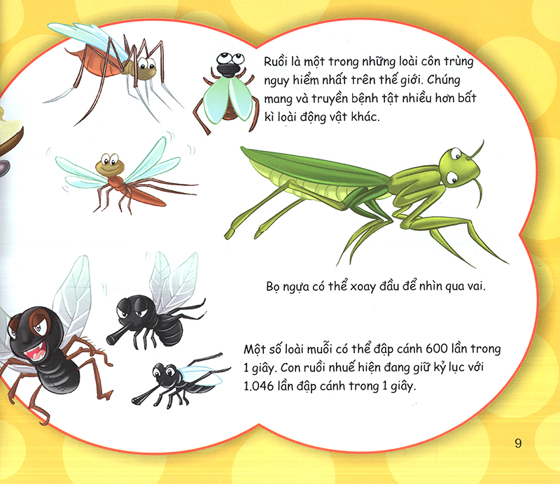 những điều kỳ thú - có thể bạn chưa biết