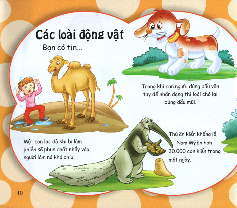 những điều kỳ thú - kiến thức thú vị