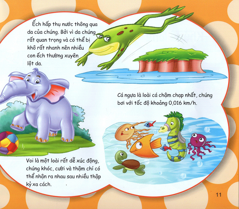 những điều kỳ thú - kiến thức thú vị