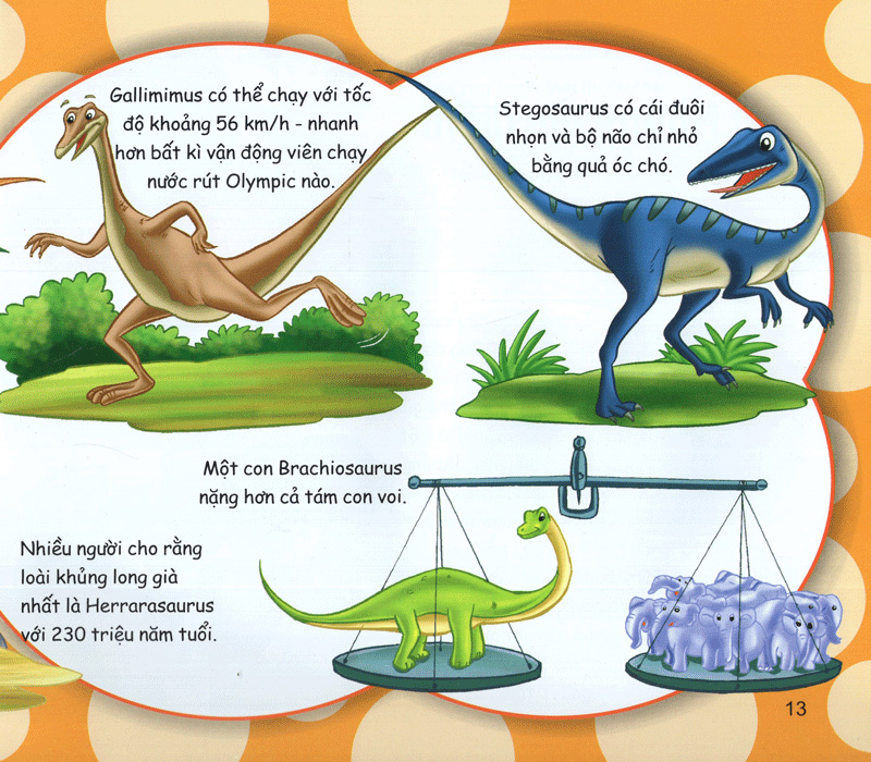 những điều kỳ thú - kiến thức thú vị