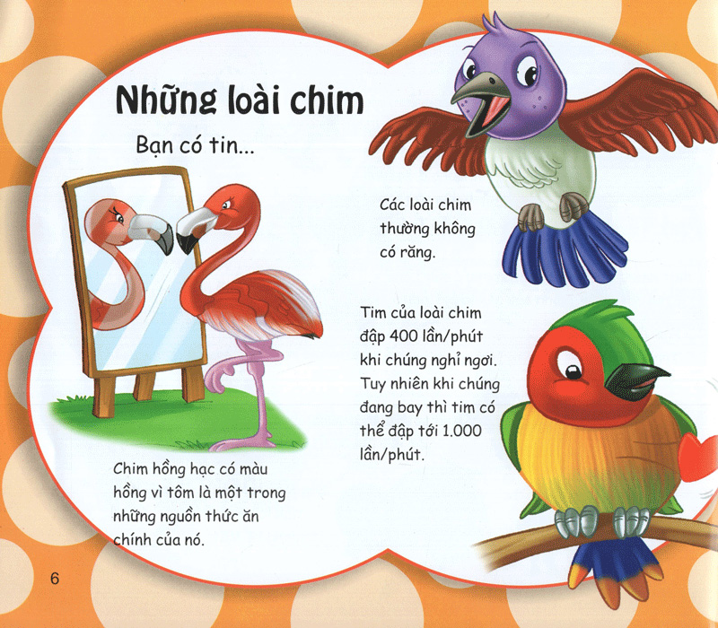 những điều kỳ thú - kiến thức thú vị