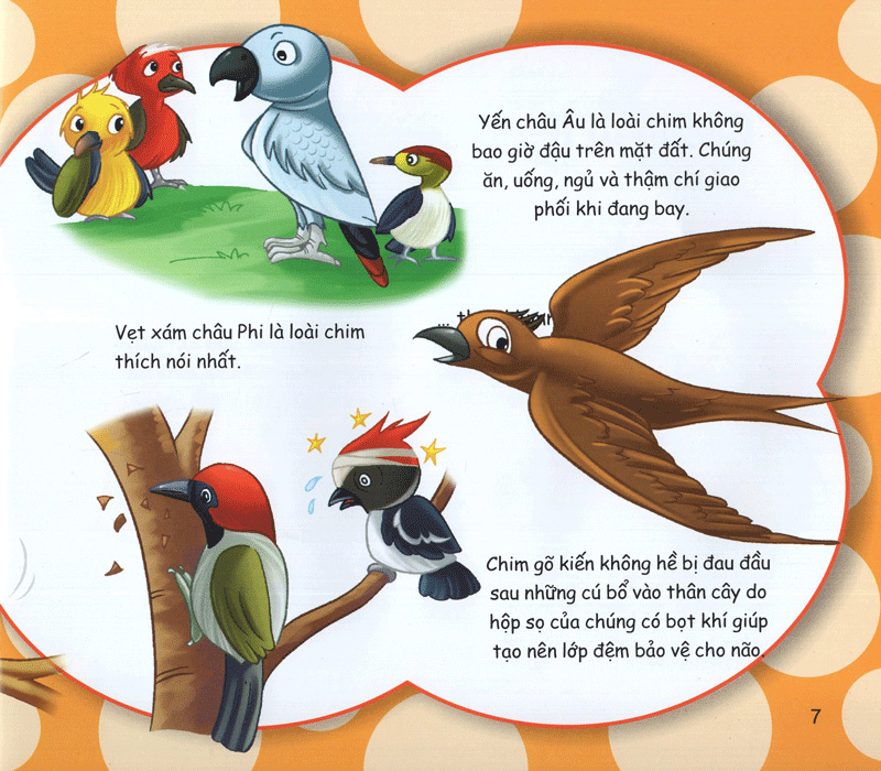 những điều kỳ thú - kiến thức thú vị