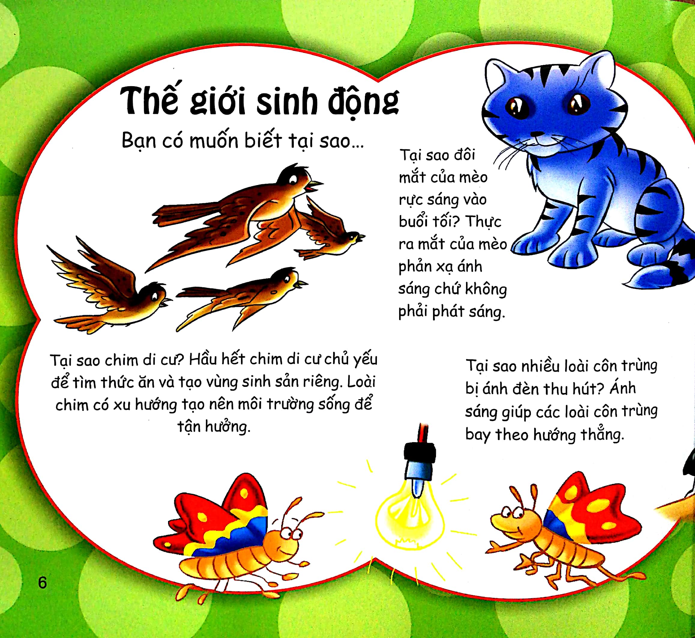 những điều kỳ thú - thắc mắc tại sao?