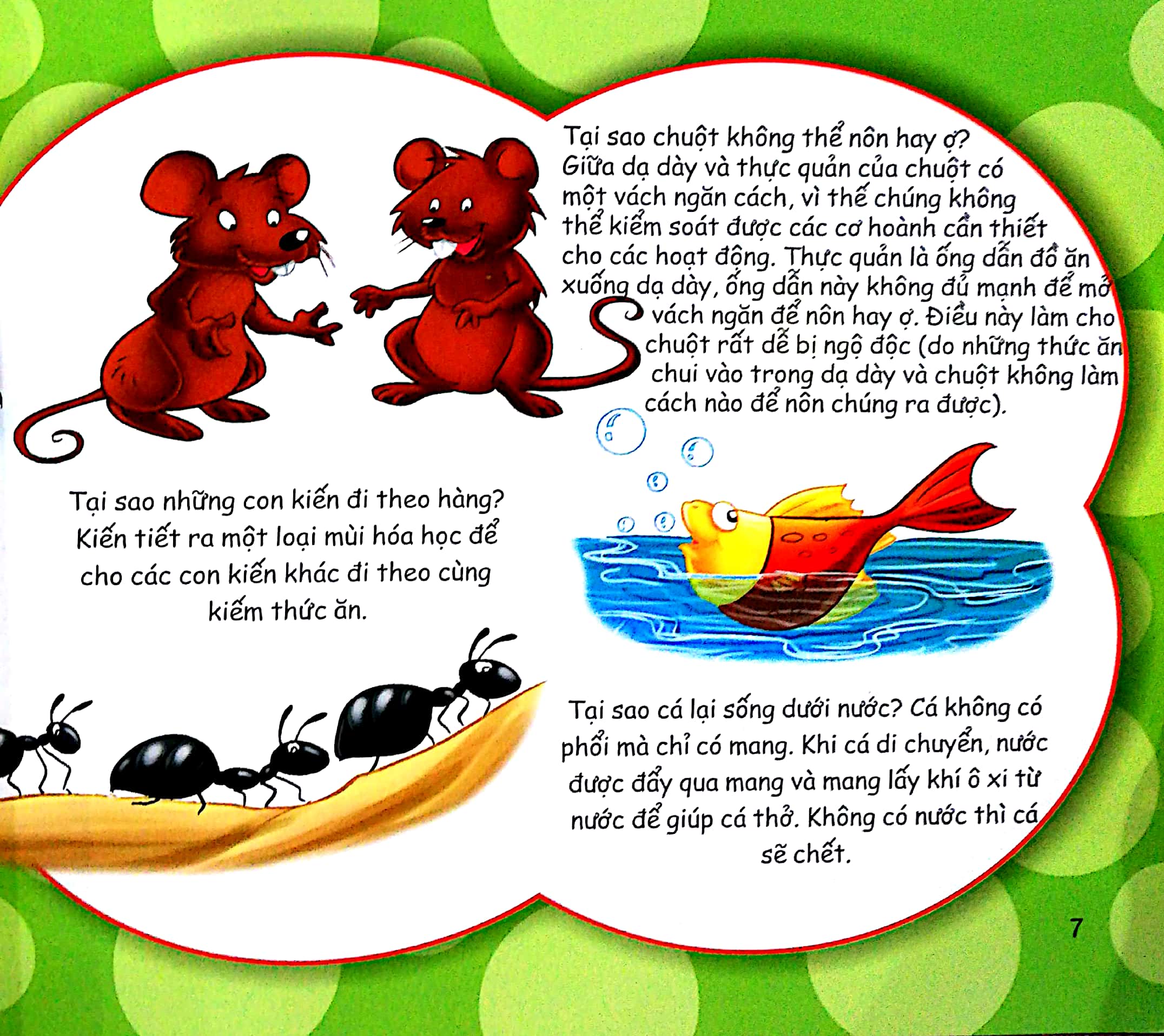 những điều kỳ thú - thắc mắc tại sao?