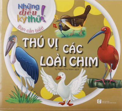 những điều kỳ thú - thú vị các loài chim