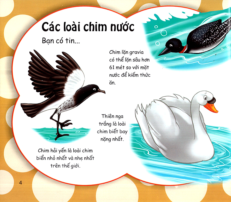 những điều kỳ thú - thú vị các loài chim