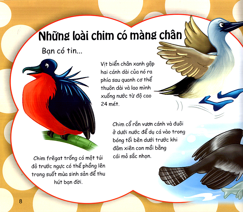 những điều kỳ thú - thú vị các loài chim