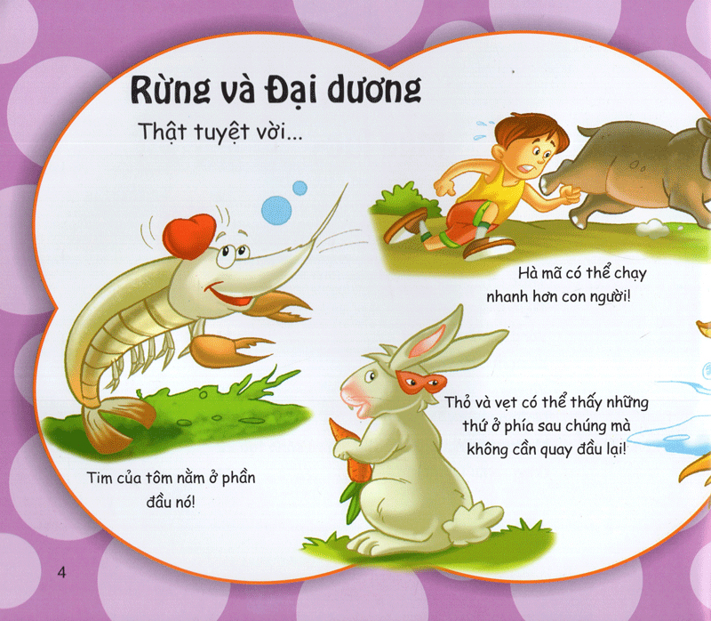 những điều kỳ thú - vô cùng thú vị