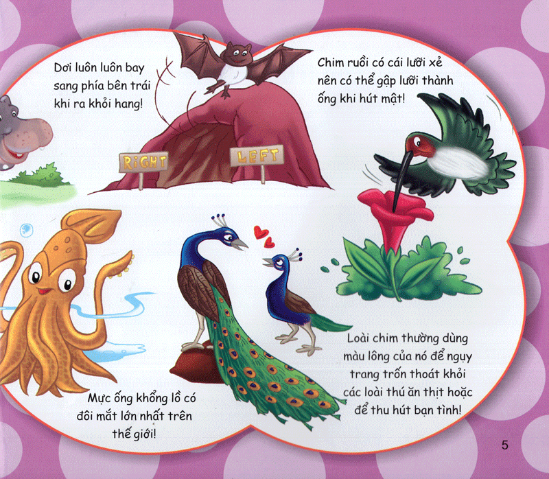 những điều kỳ thú - vô cùng thú vị