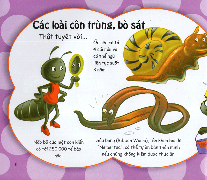 những điều kỳ thú - vô cùng thú vị