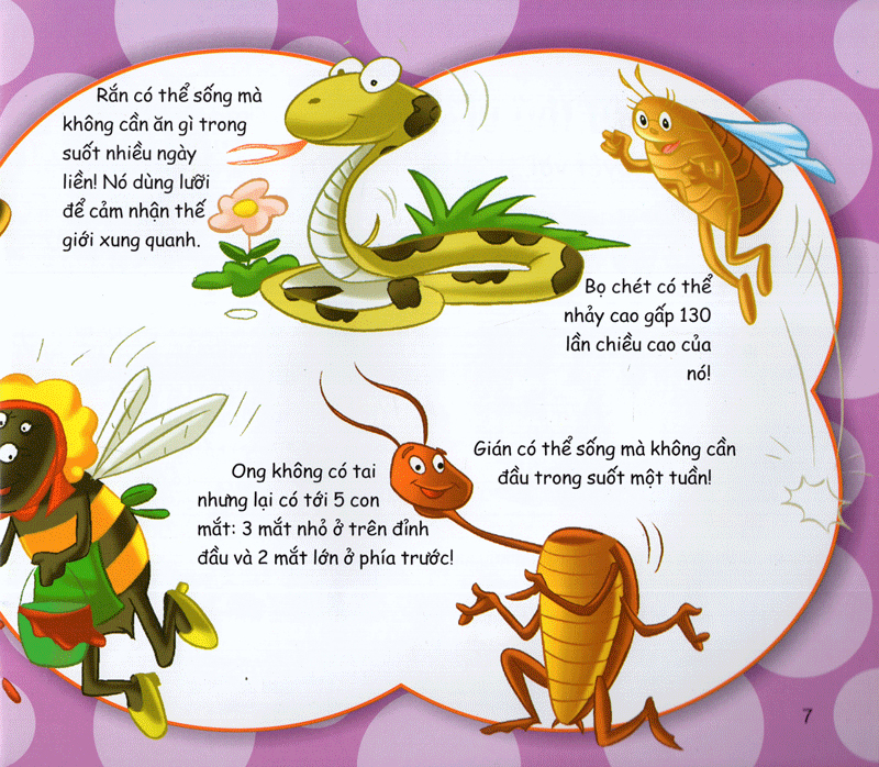 những điều kỳ thú - vô cùng thú vị