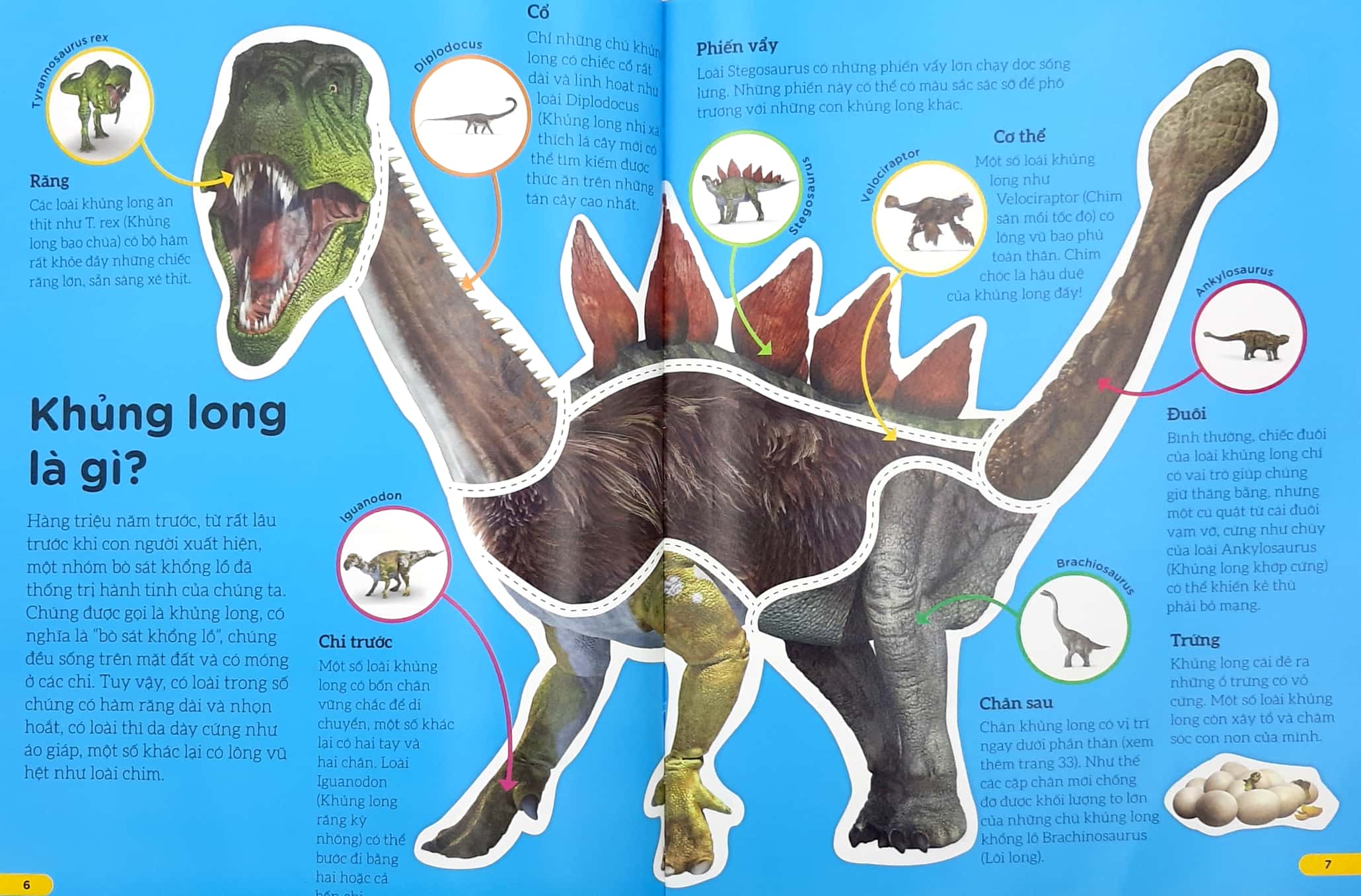 những điều sách giáo khoa không dạy bạn: khủng long