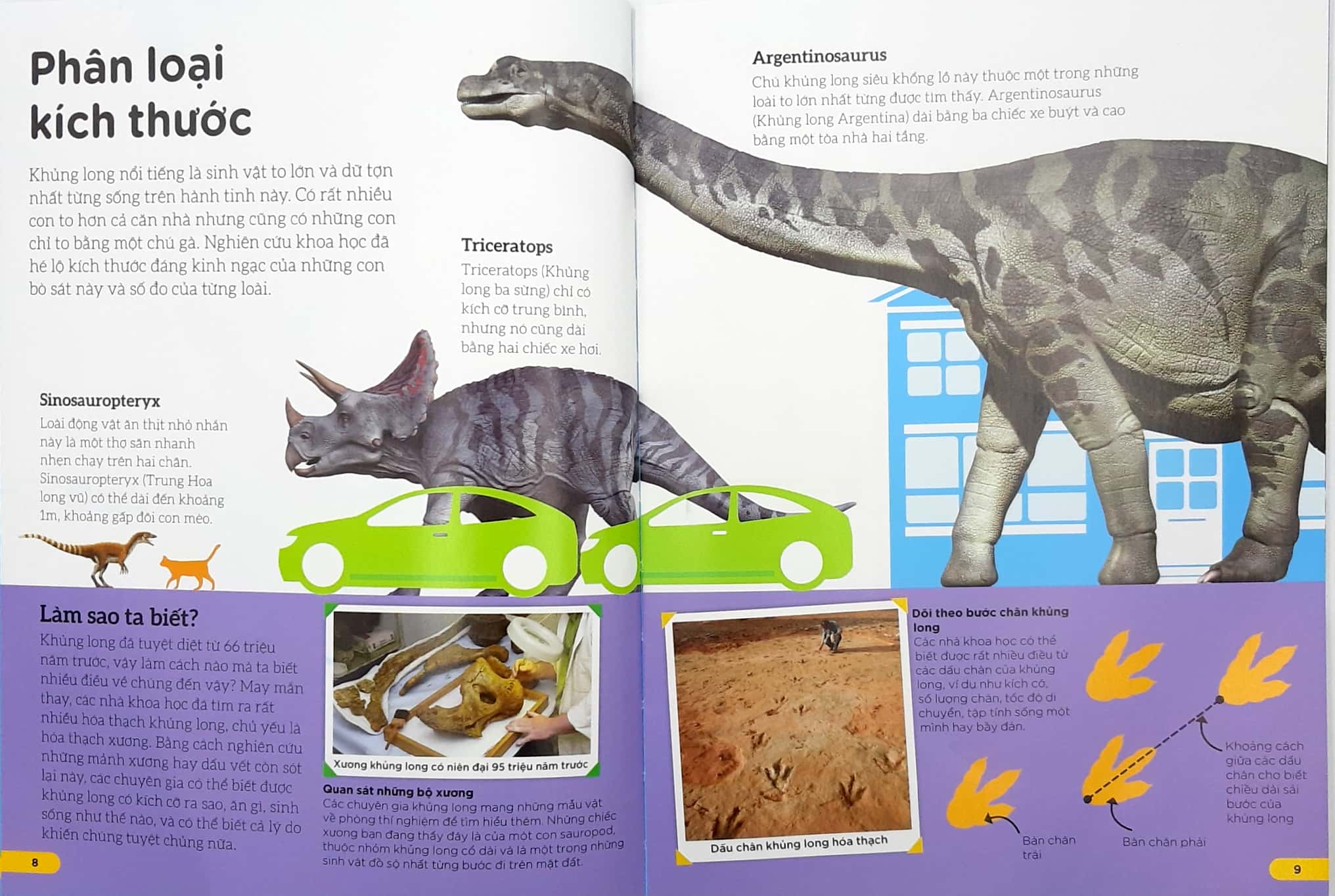 những điều sách giáo khoa không dạy bạn: khủng long