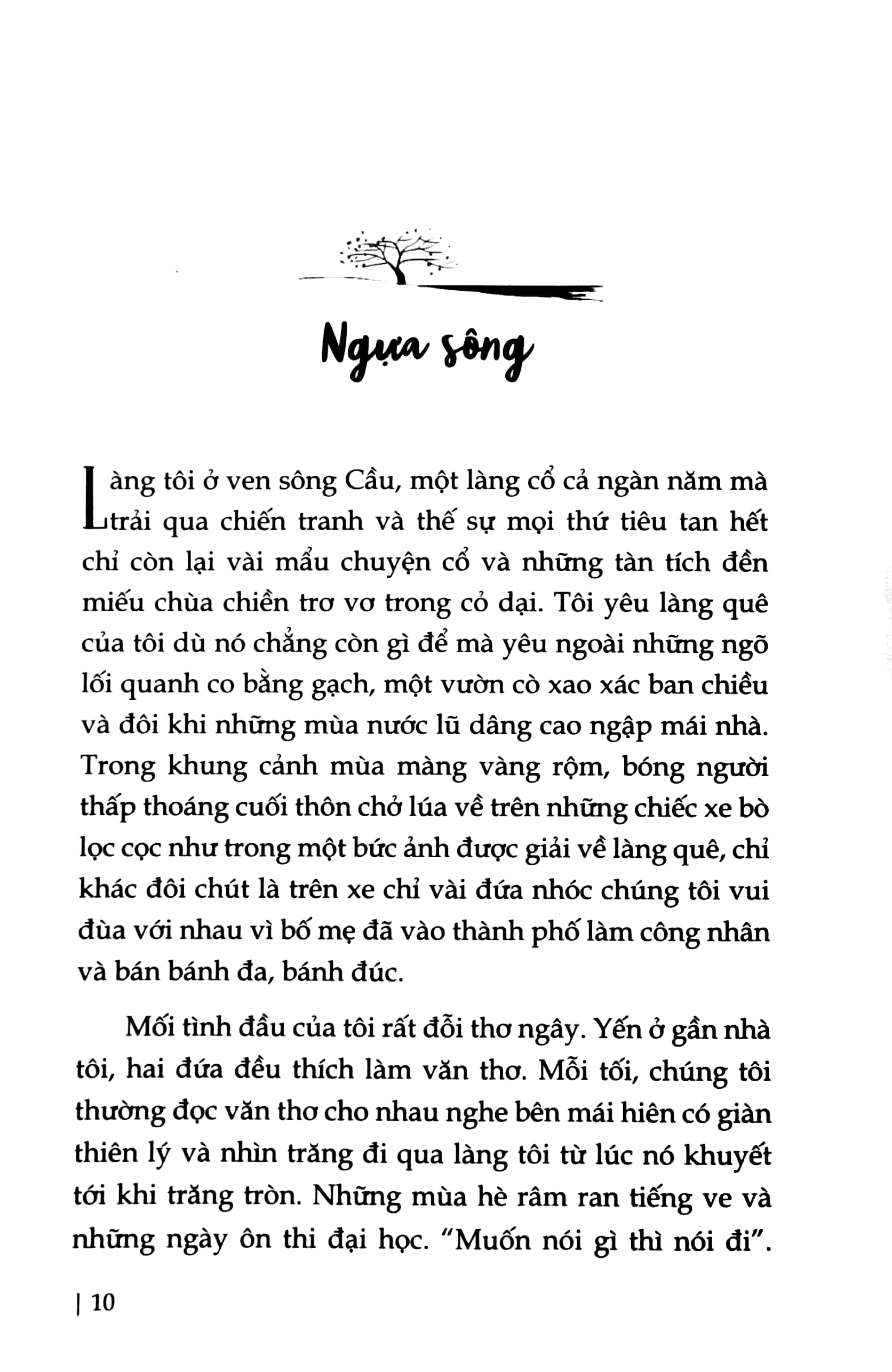 những đoản khúc mơ