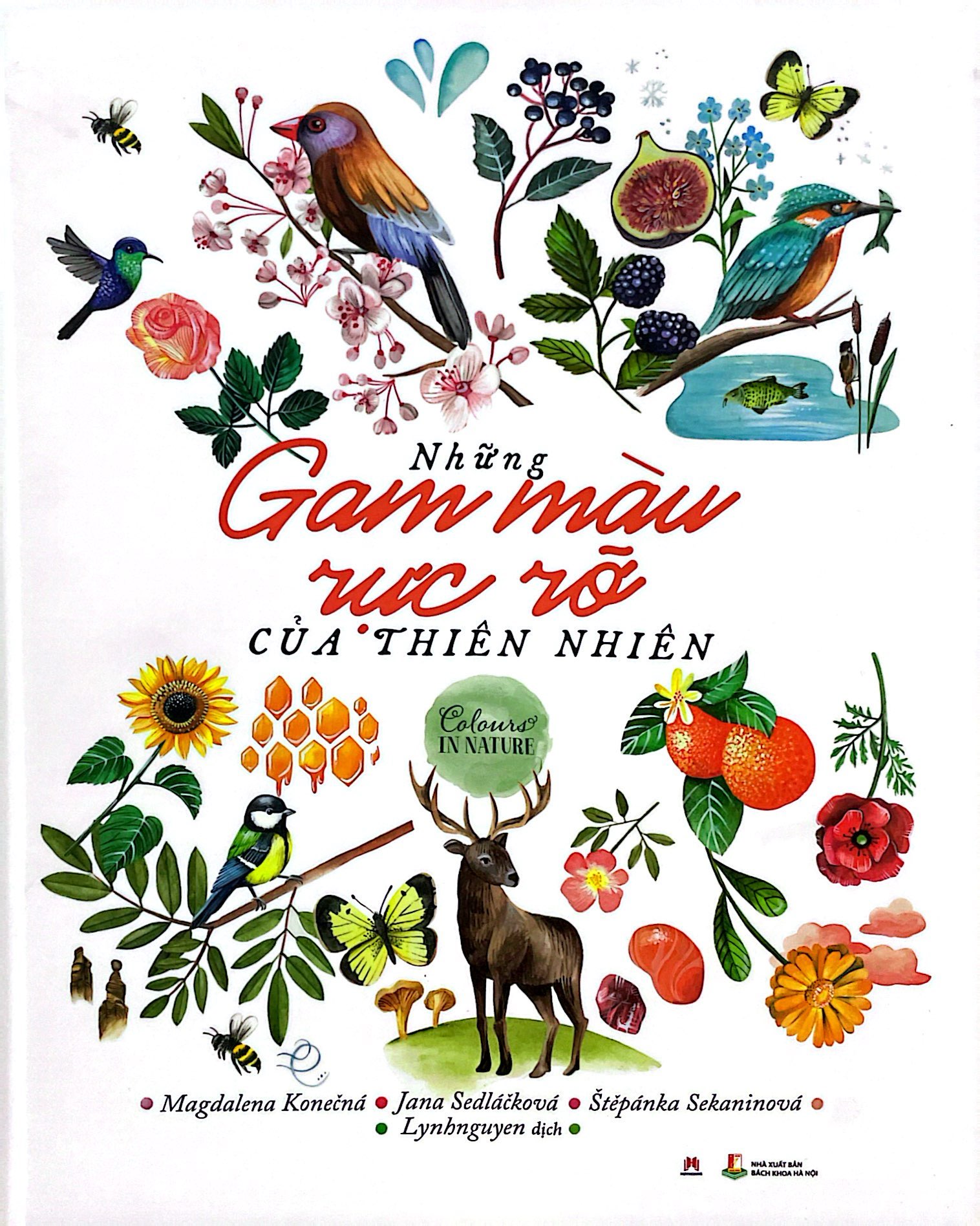 những gam màu rực rỡ của thiên nhiên