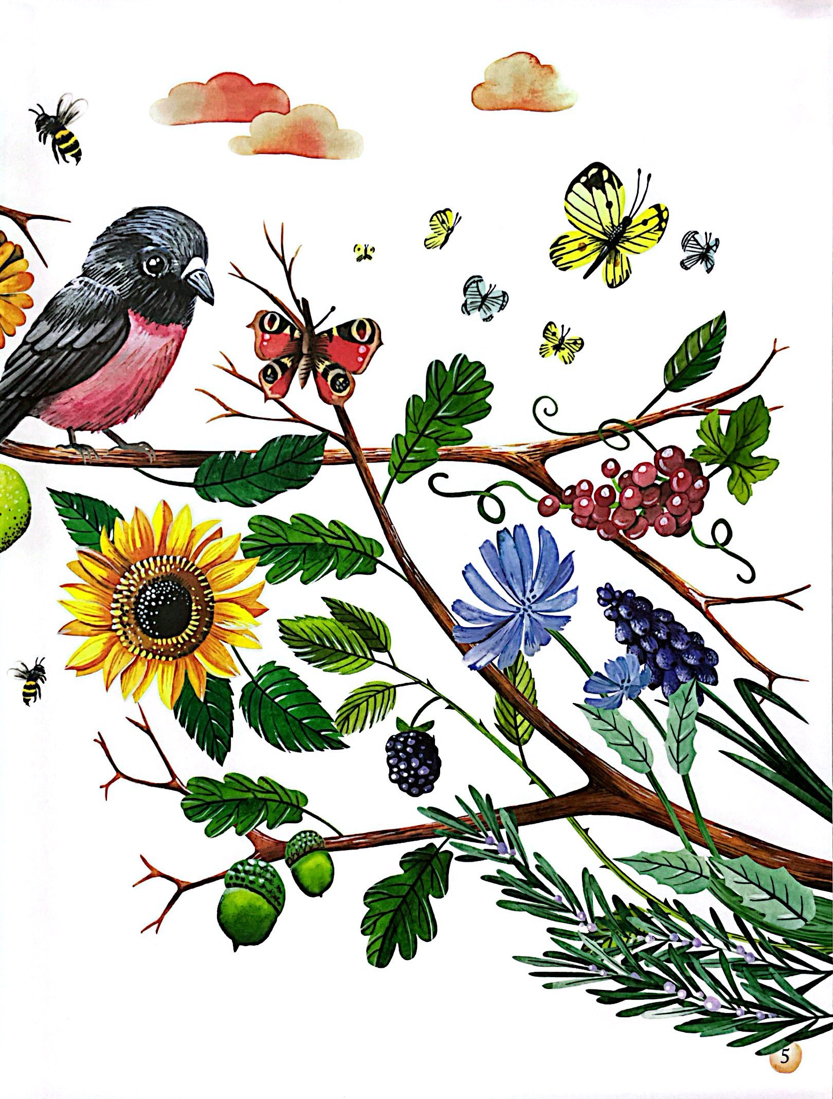 những gam màu rực rỡ của thiên nhiên