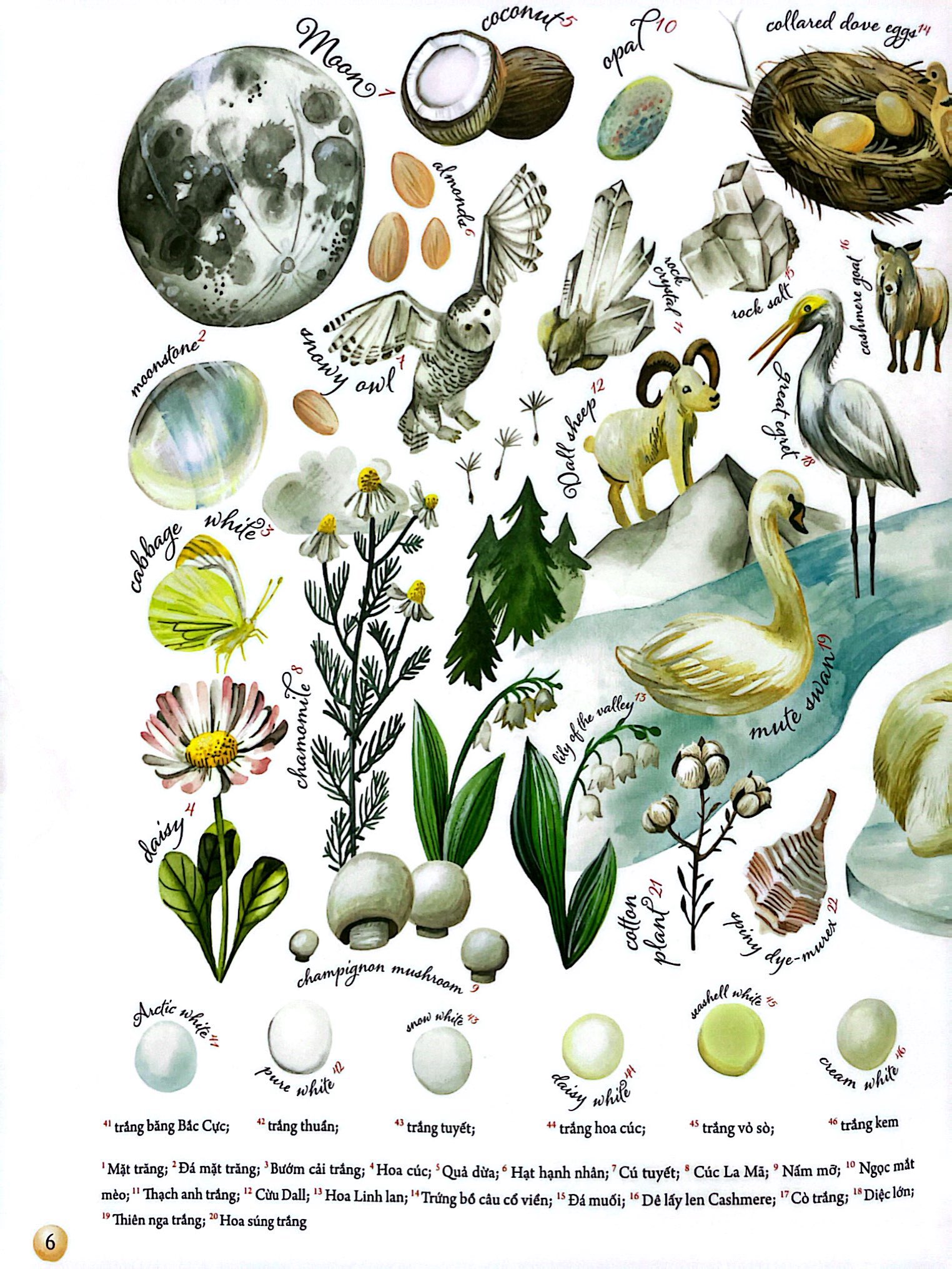 những gam màu rực rỡ của thiên nhiên