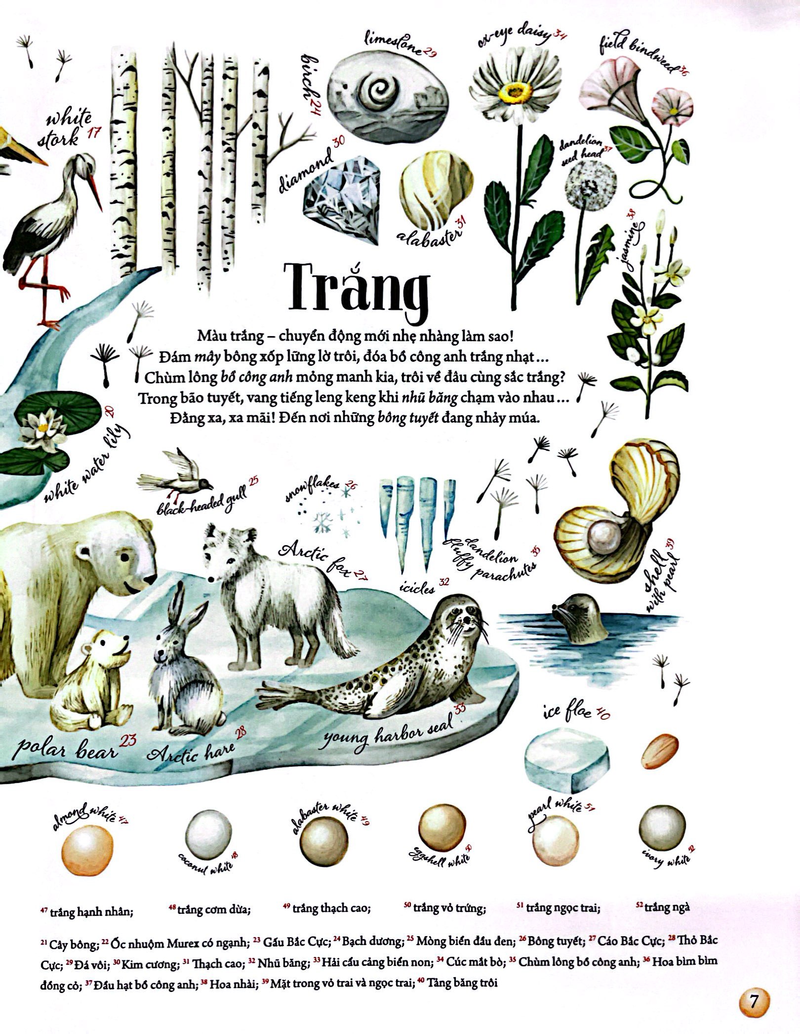 những gam màu rực rỡ của thiên nhiên