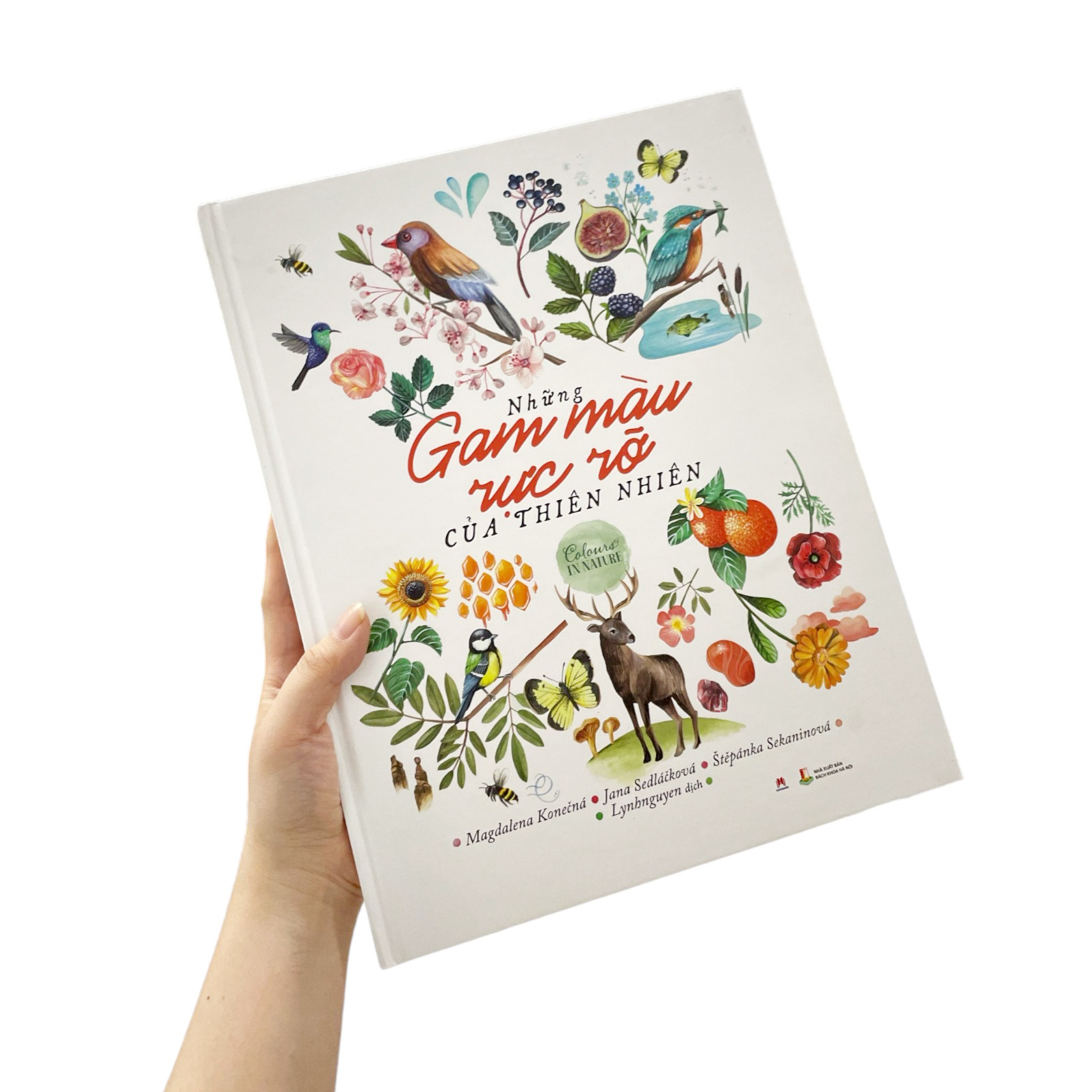 những gam màu rực rỡ của thiên nhiên