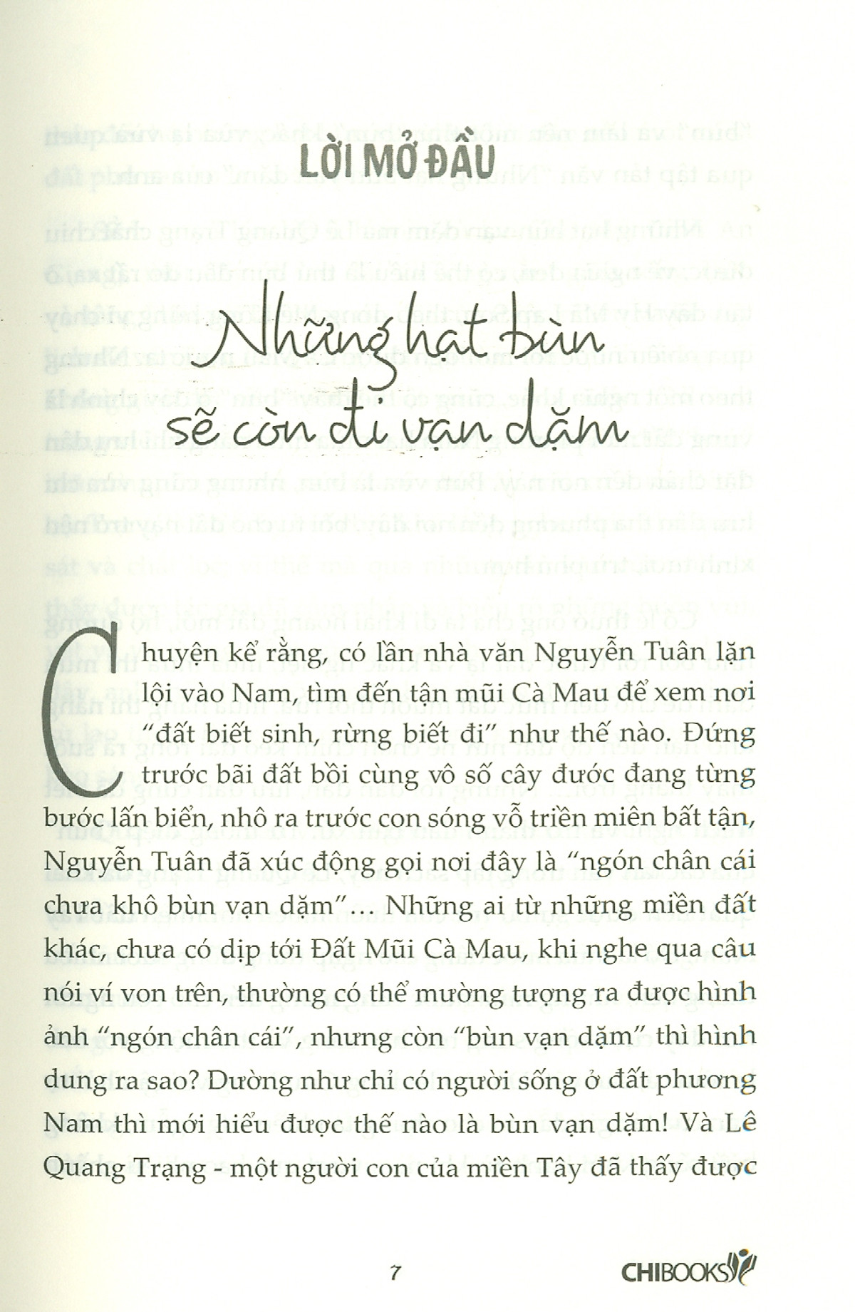 những hạt bùn vạn dặm