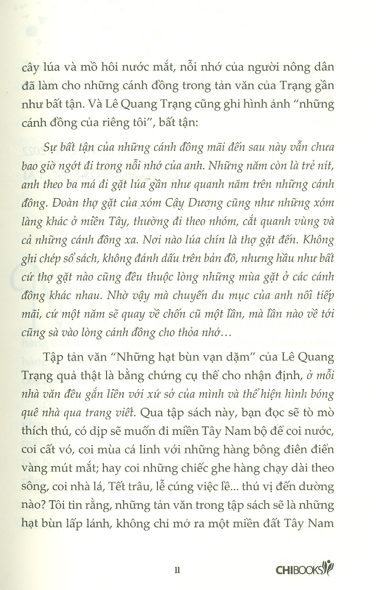 những hạt bùn vạn dặm