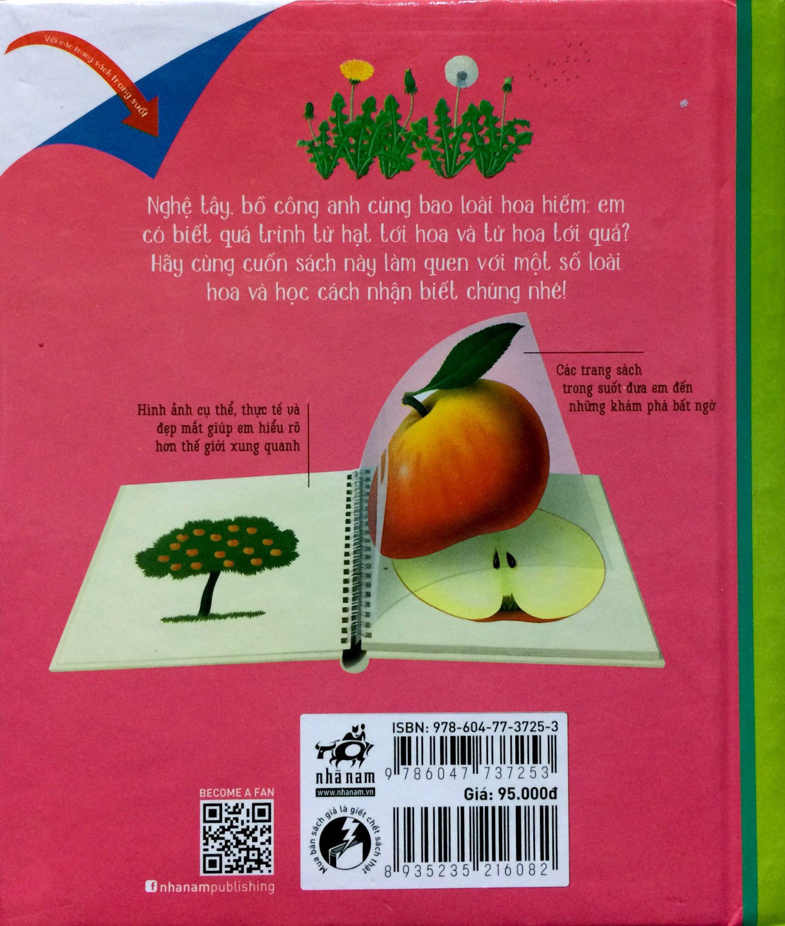 những khám phá đầu tiên của tớ - hoa