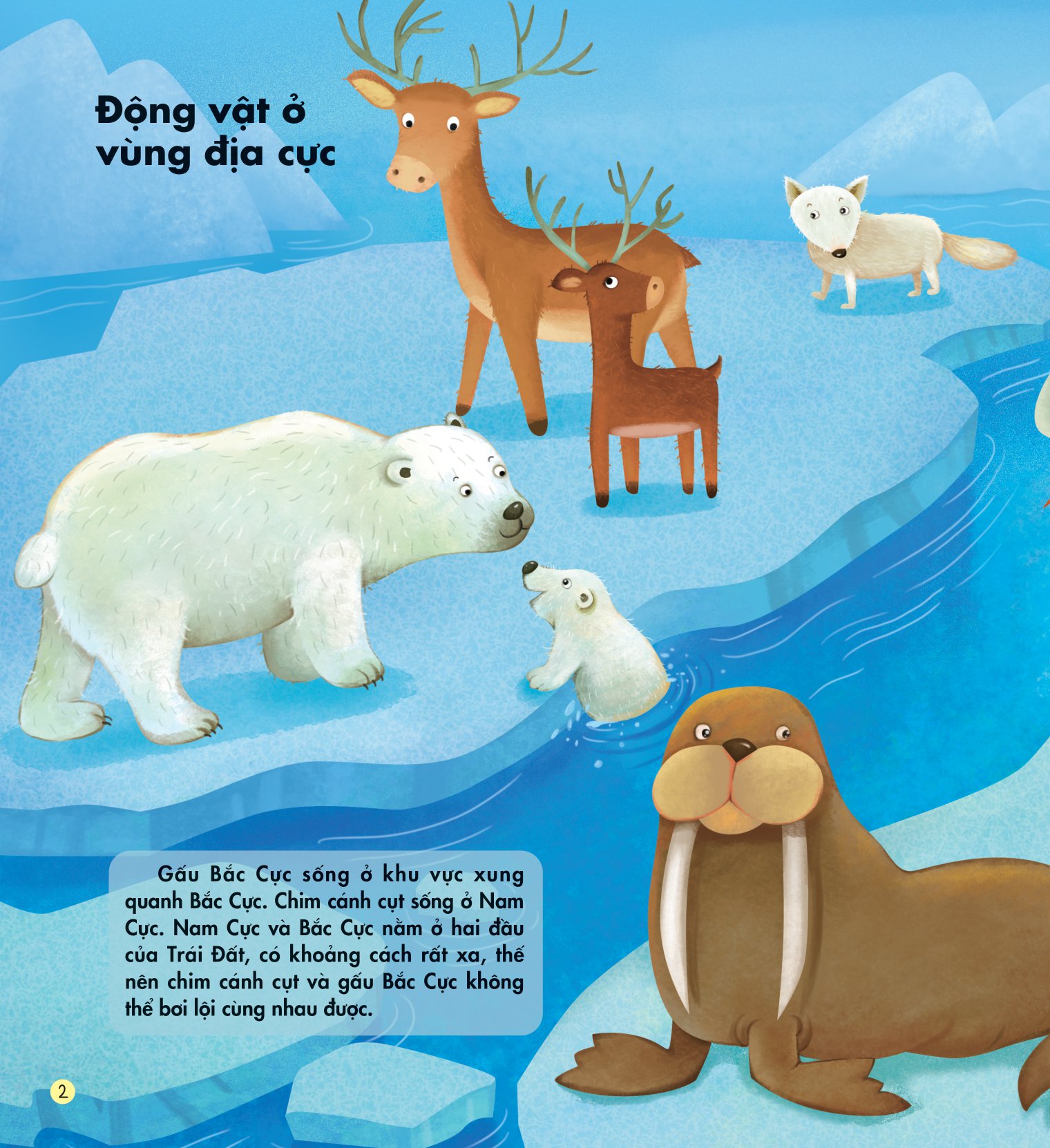 những kiến thức đầu đời cho bé - động vật đáng yêu