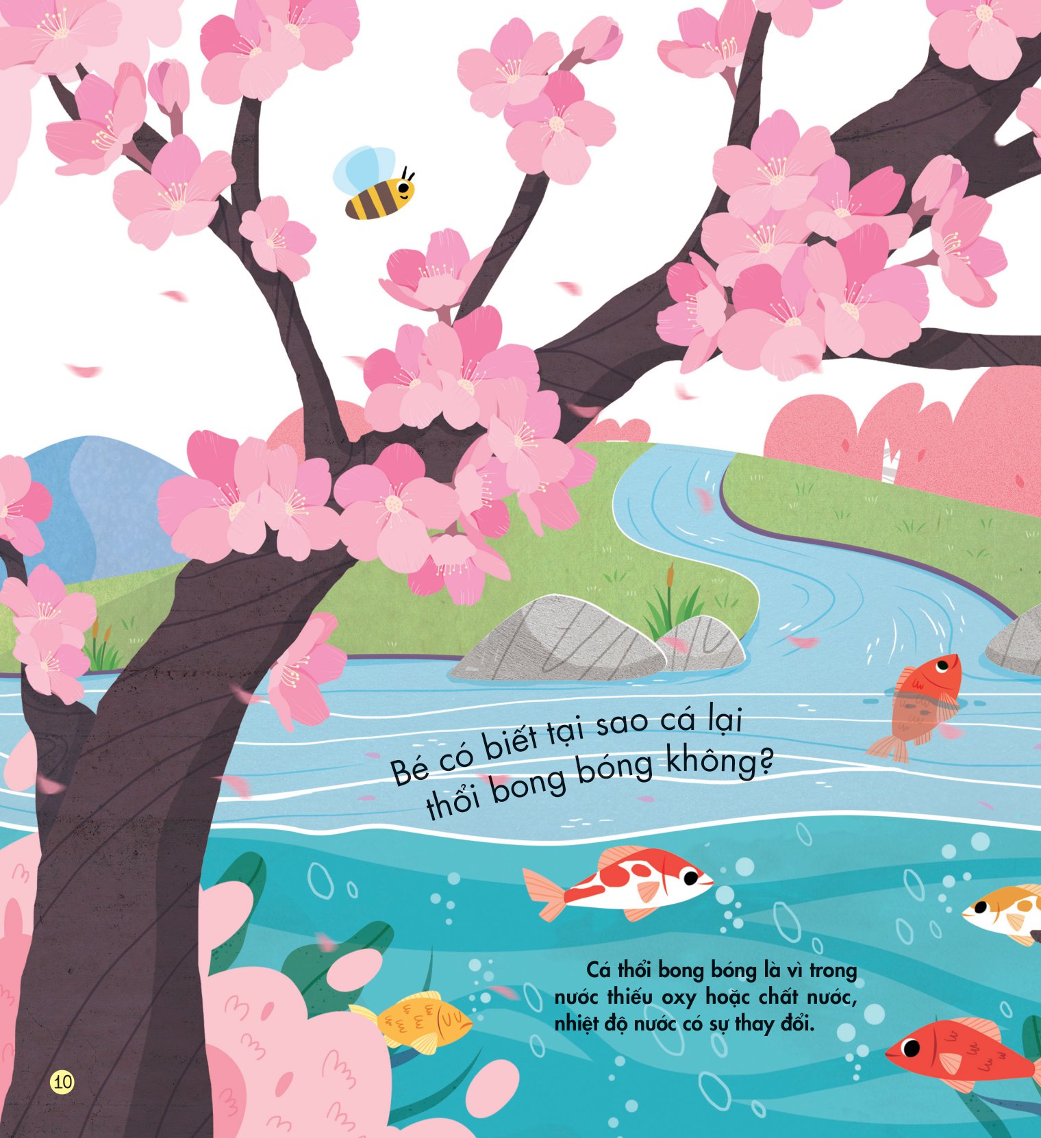 những kiến thức đầu đời cho bé - màu sắc rực rỡ