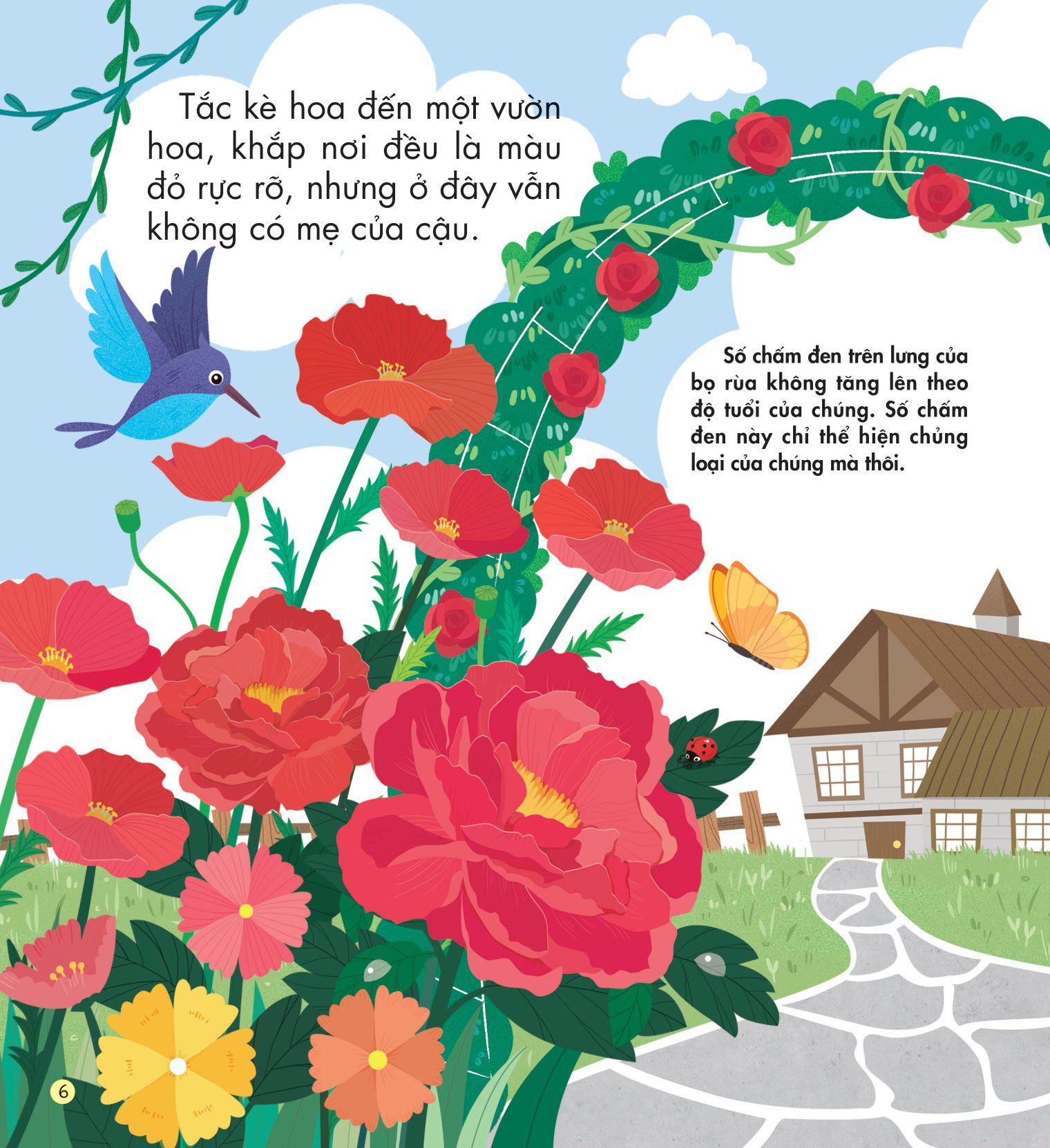 những kiến thức đầu đời cho bé - màu sắc rực rỡ