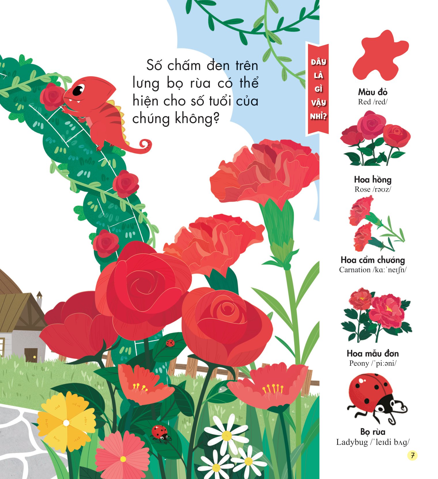 những kiến thức đầu đời cho bé - màu sắc rực rỡ