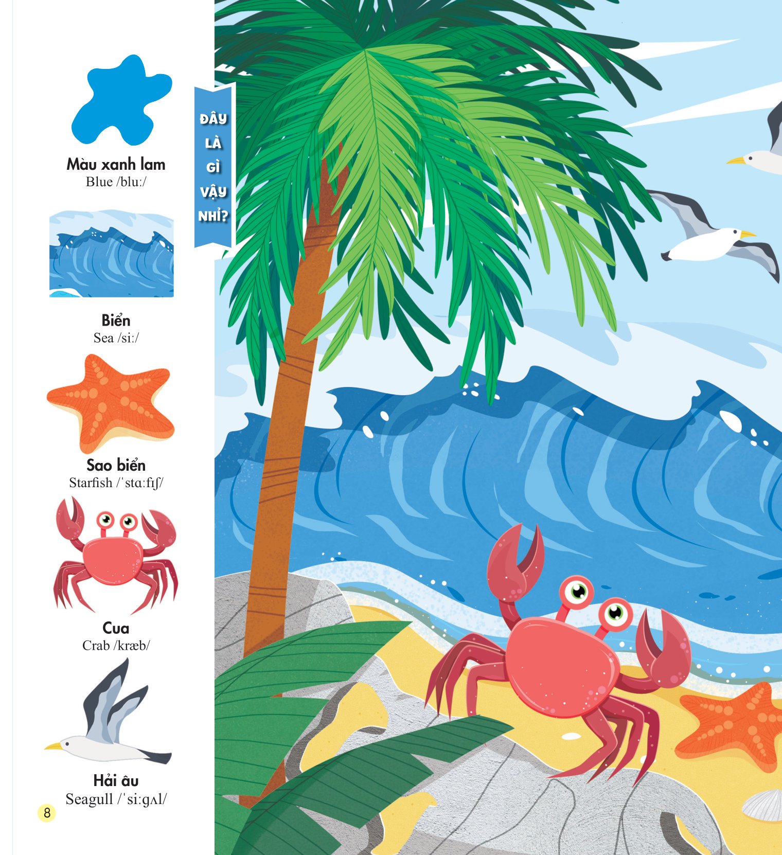 những kiến thức đầu đời cho bé - màu sắc rực rỡ