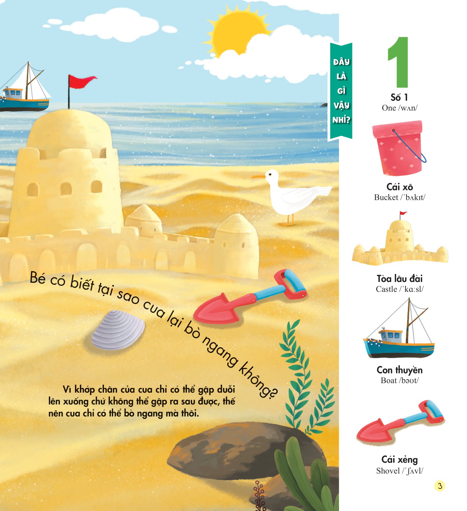 những kiến thức đầu đời cho bé - số đếm vui nhộn