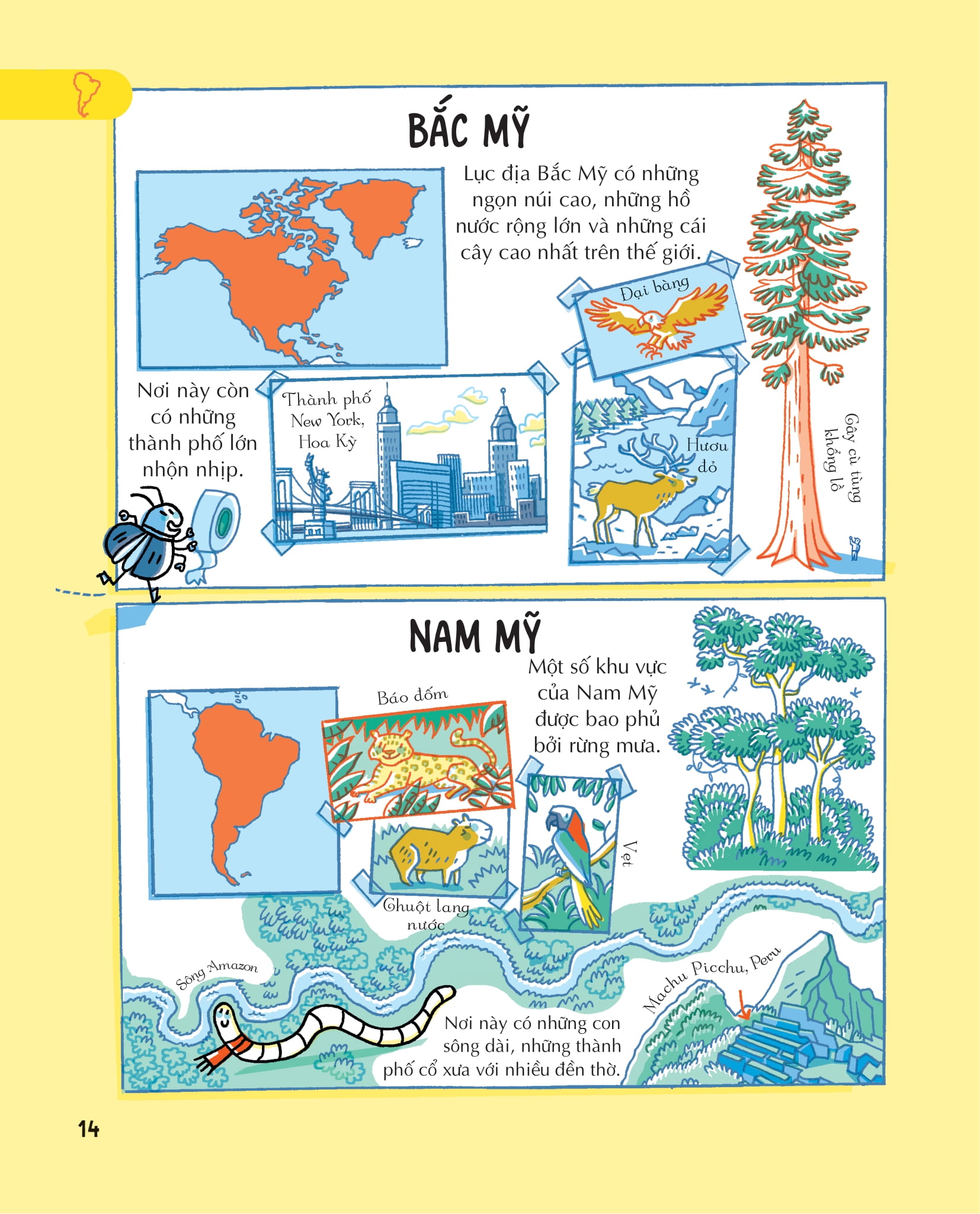 những kiến thức địa lý thiết yếu dành cho học sinh tiểu học