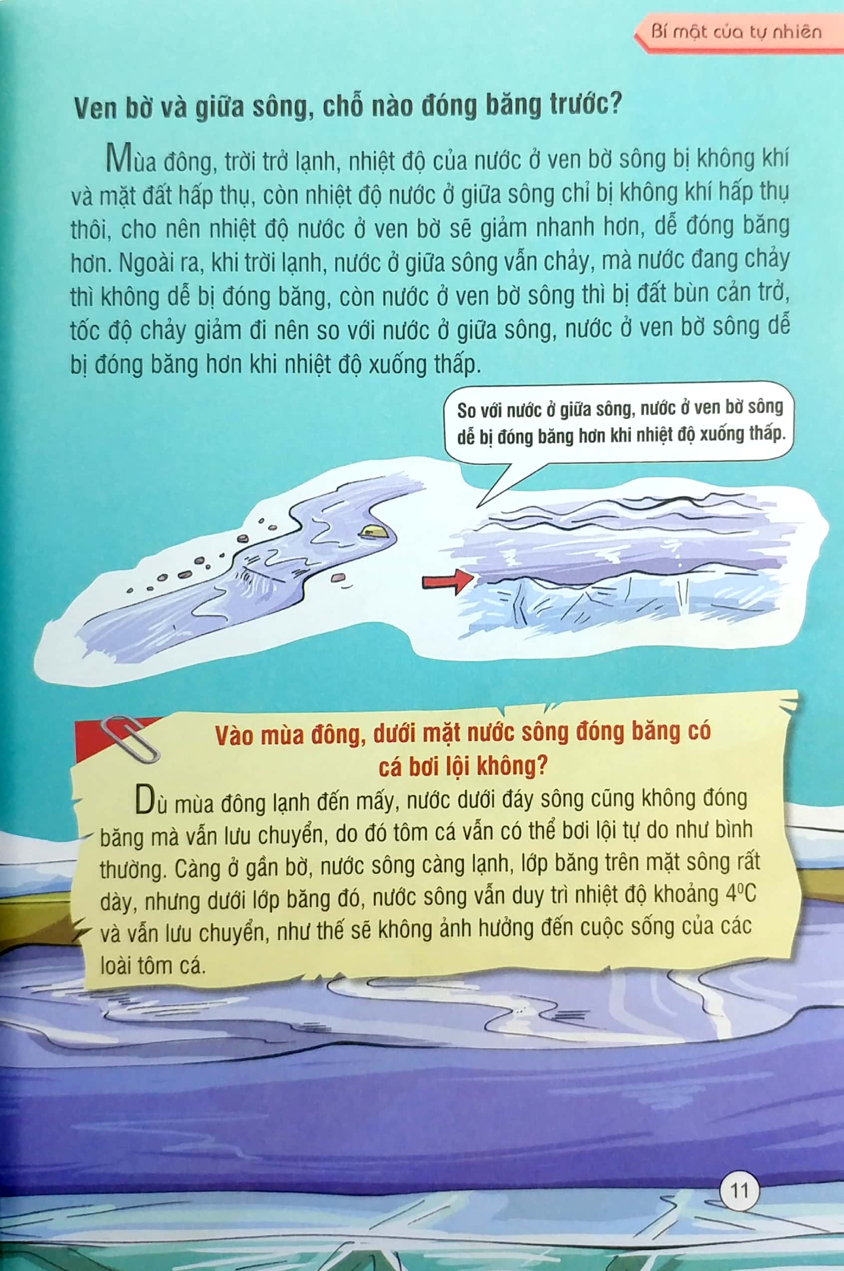 những kiến thức khoa học dễ hiểu sai - bí mật của tự nhiên