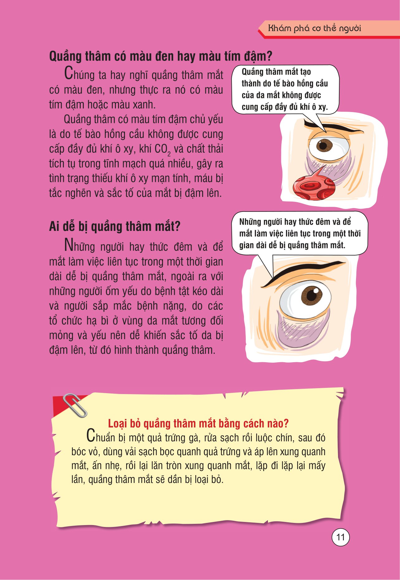 những kiến thức khoa học dễ hiểu sai - khám phá cơ thể người