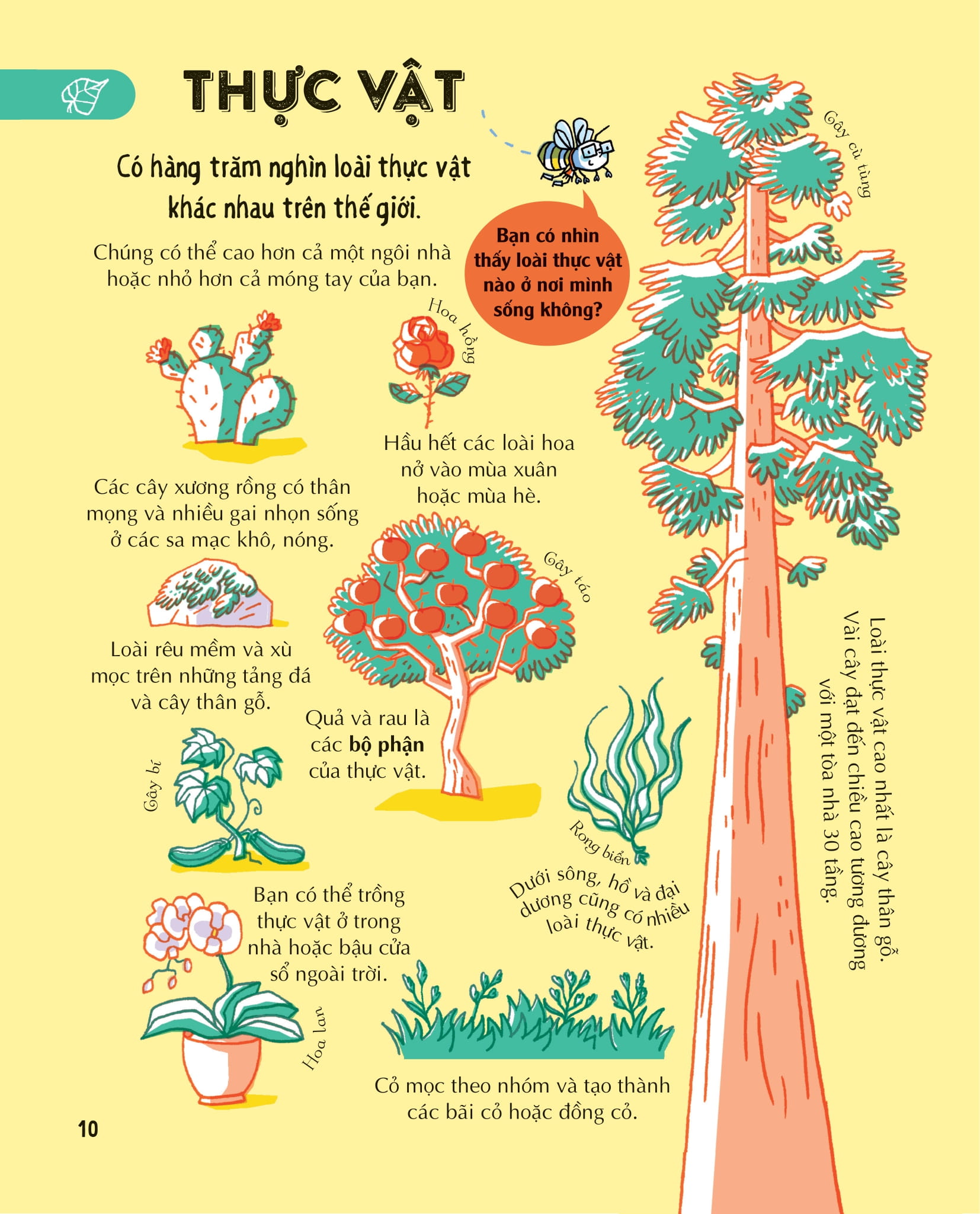 những kiến thức khoa học thiết yếu dành cho học sinh tiểu học