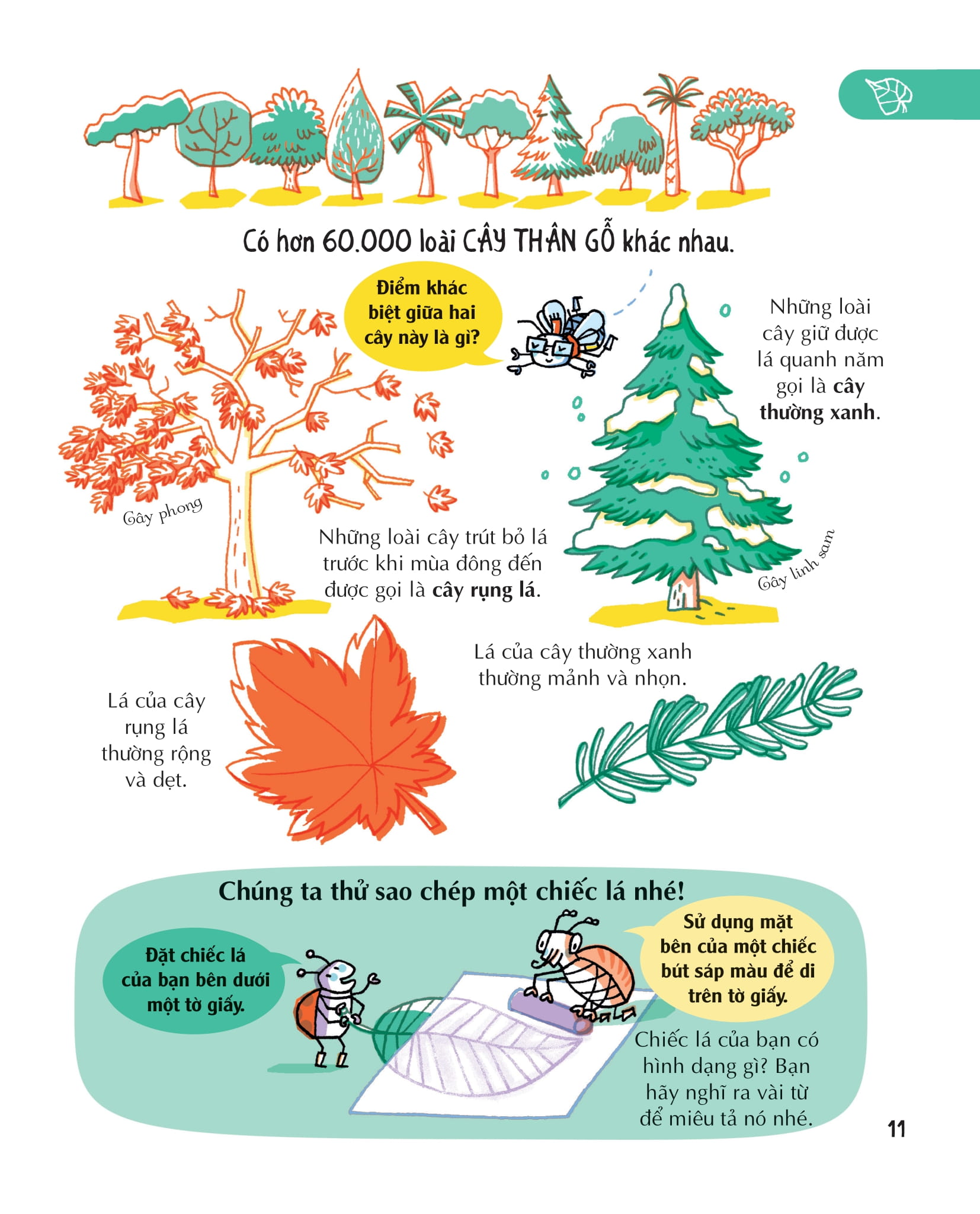 những kiến thức khoa học thiết yếu dành cho học sinh tiểu học