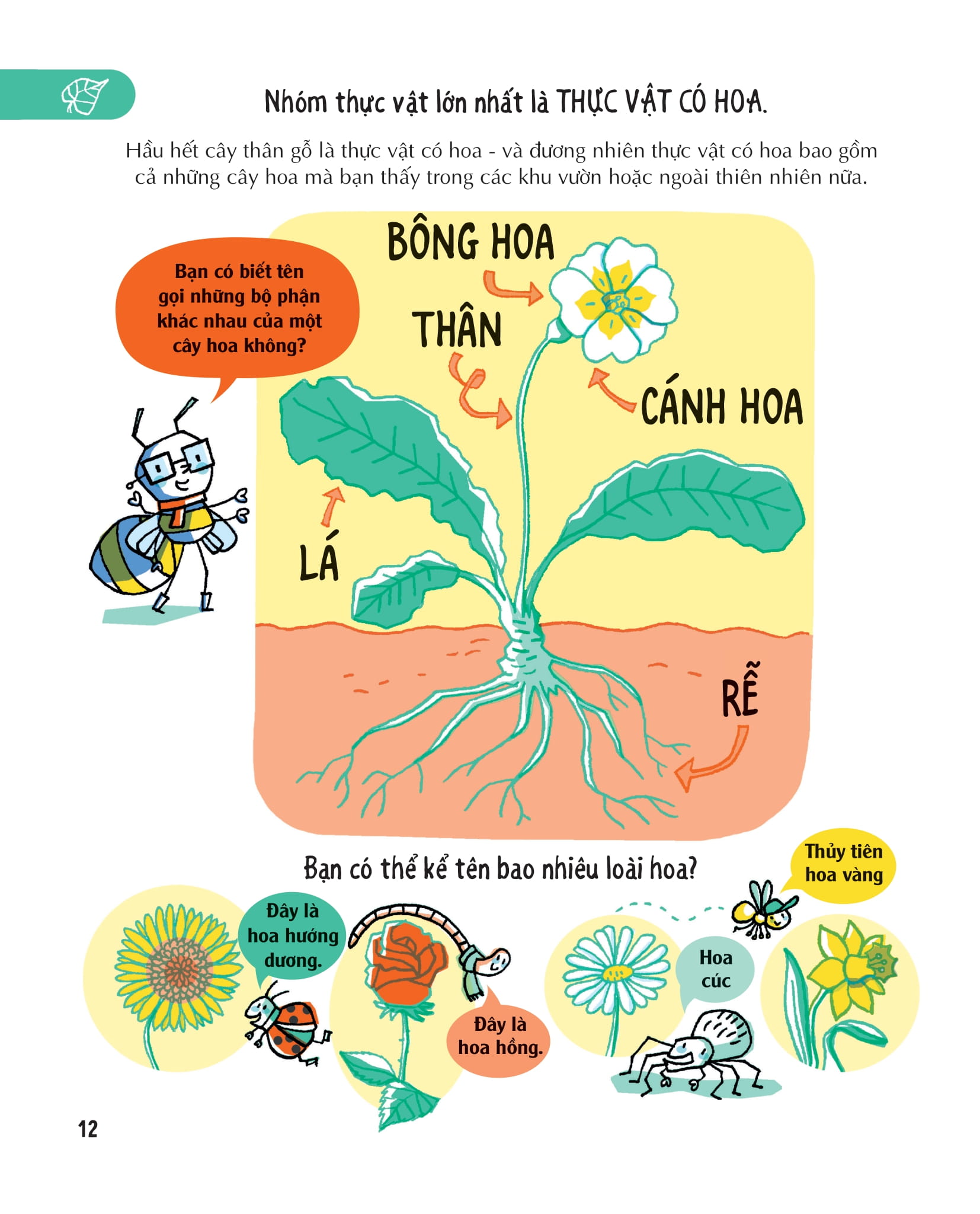 những kiến thức khoa học thiết yếu dành cho học sinh tiểu học