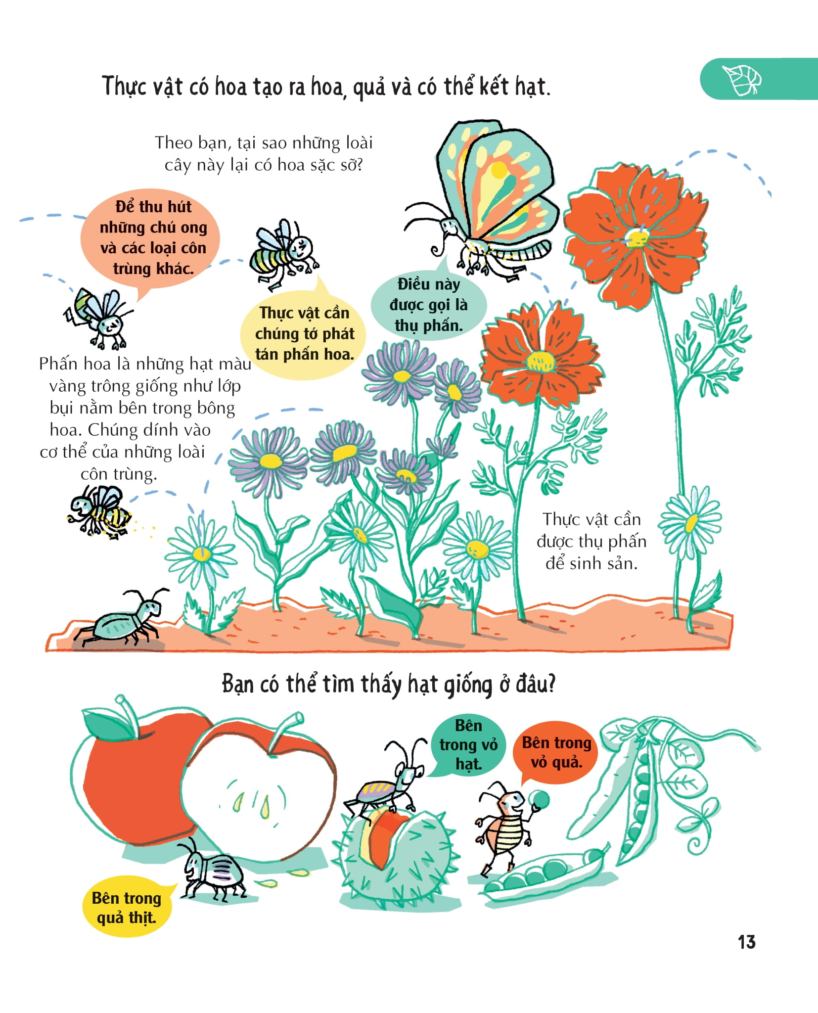 những kiến thức khoa học thiết yếu dành cho học sinh tiểu học