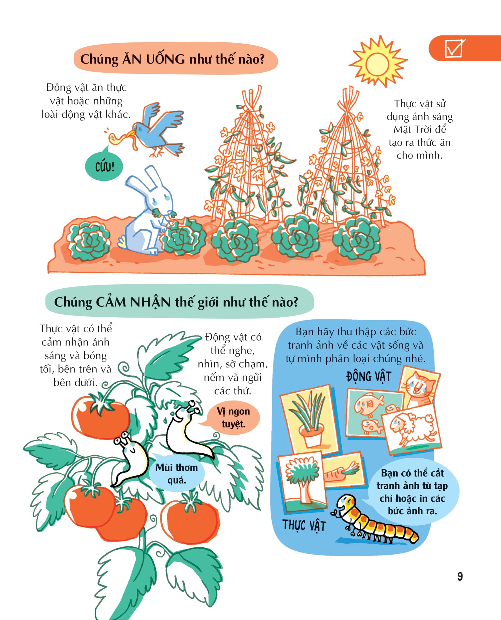 những kiến thức khoa học thiết yếu dành cho học sinh tiểu học