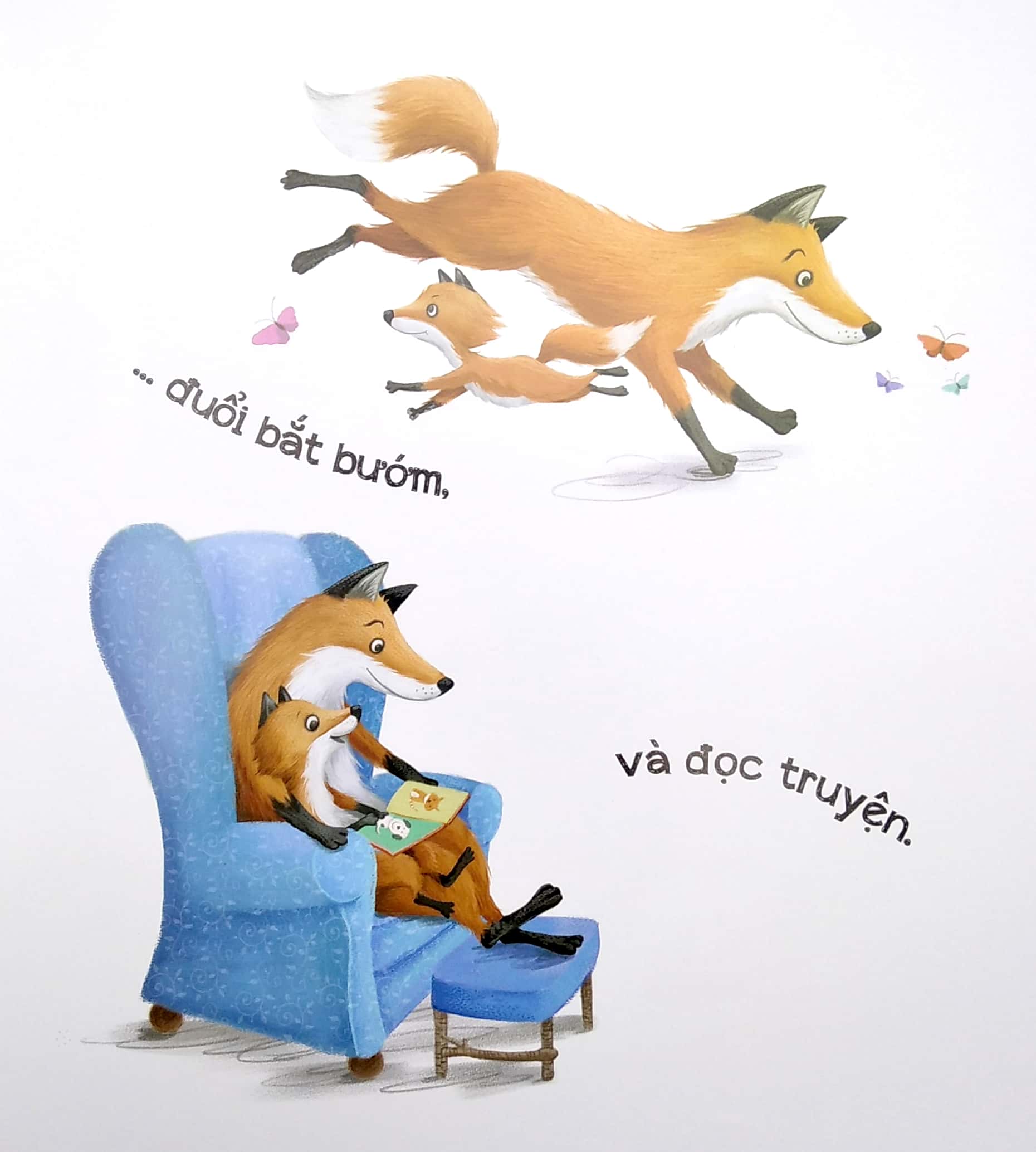 những lá thư của bố