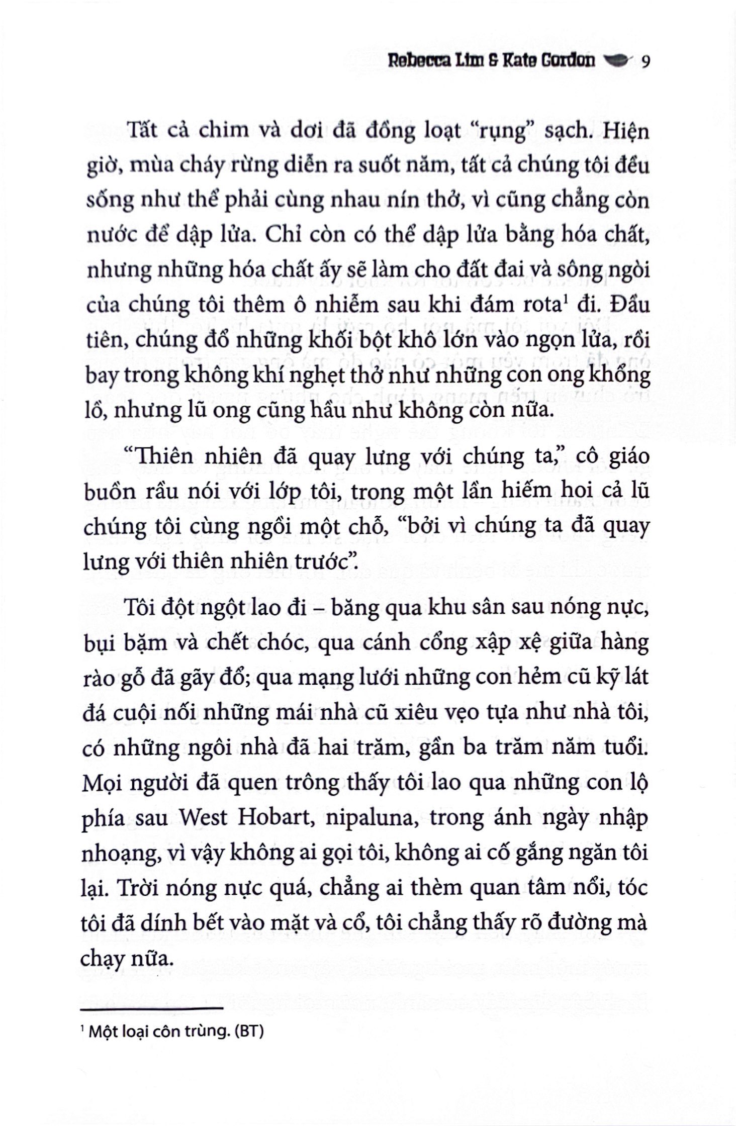 những lá thư từ hốc cây kỳ diệu