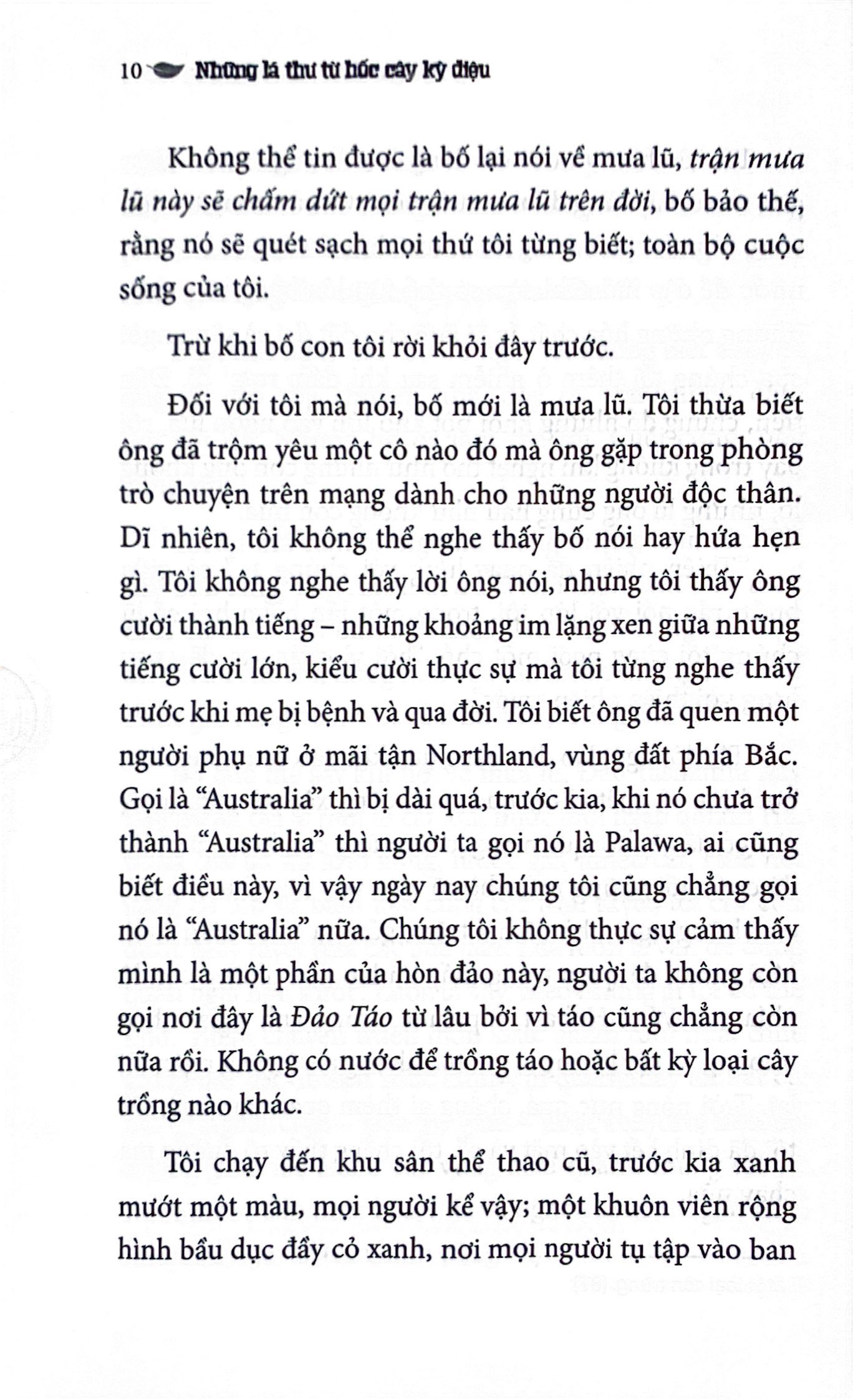 những lá thư từ hốc cây kỳ diệu