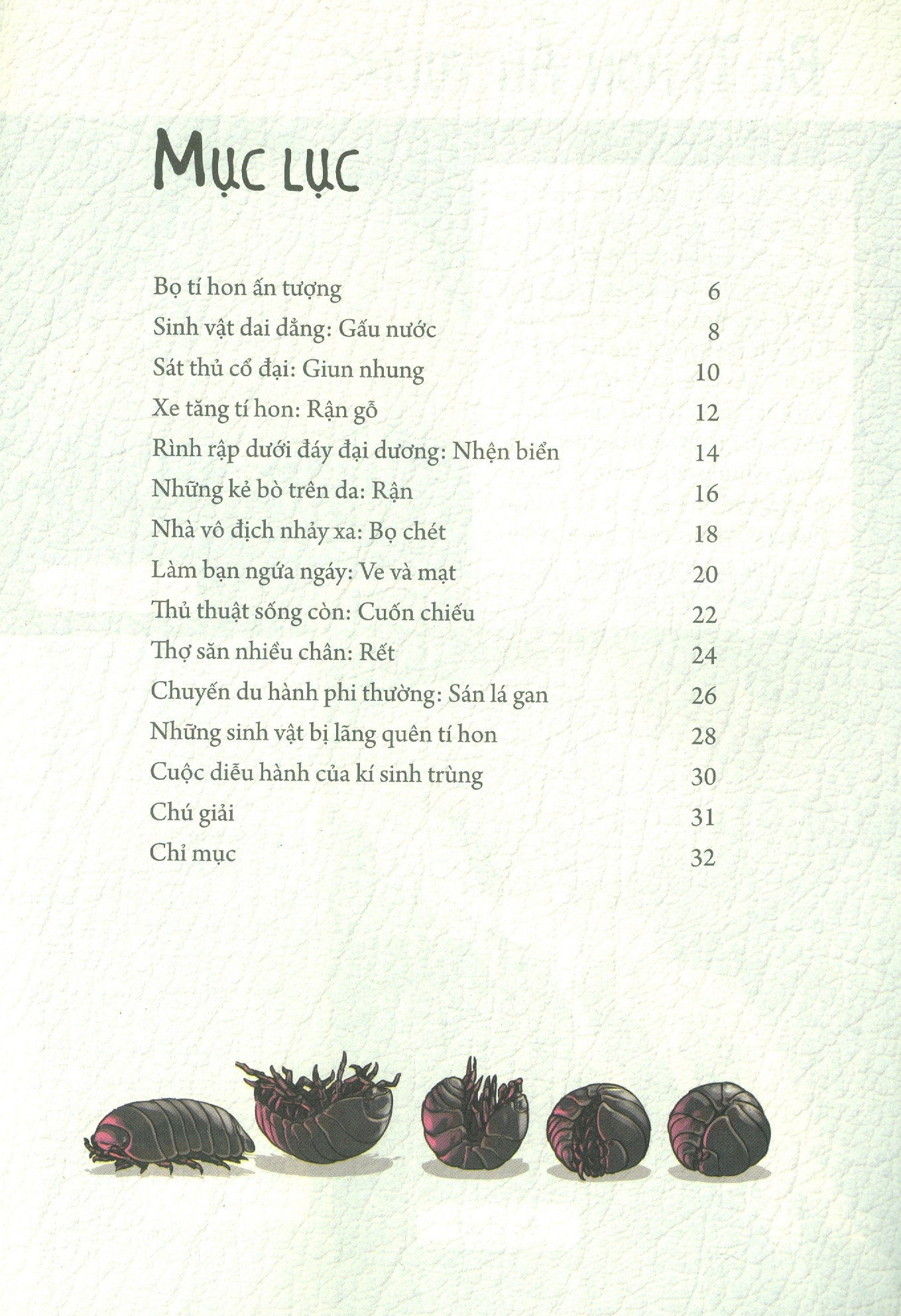 những loài bọ phá kỷ lục - bọ tí hon ấn tượng